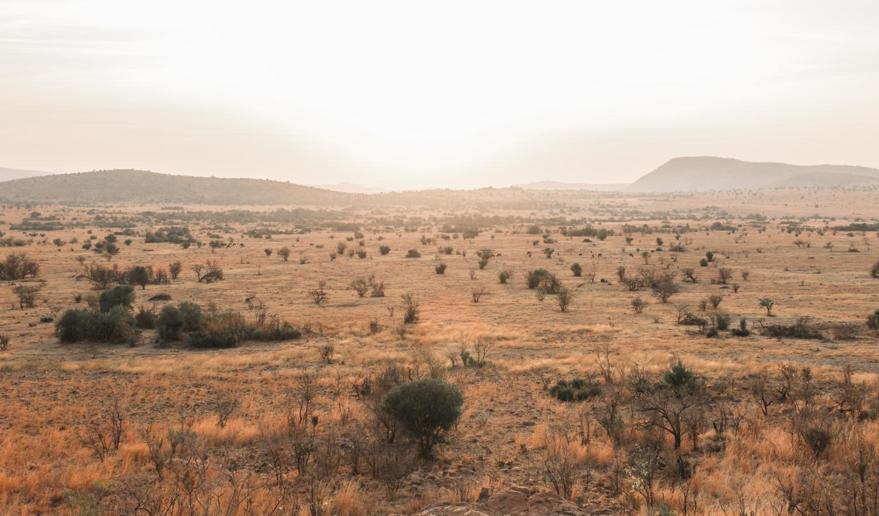 Lush Private Game Lodge