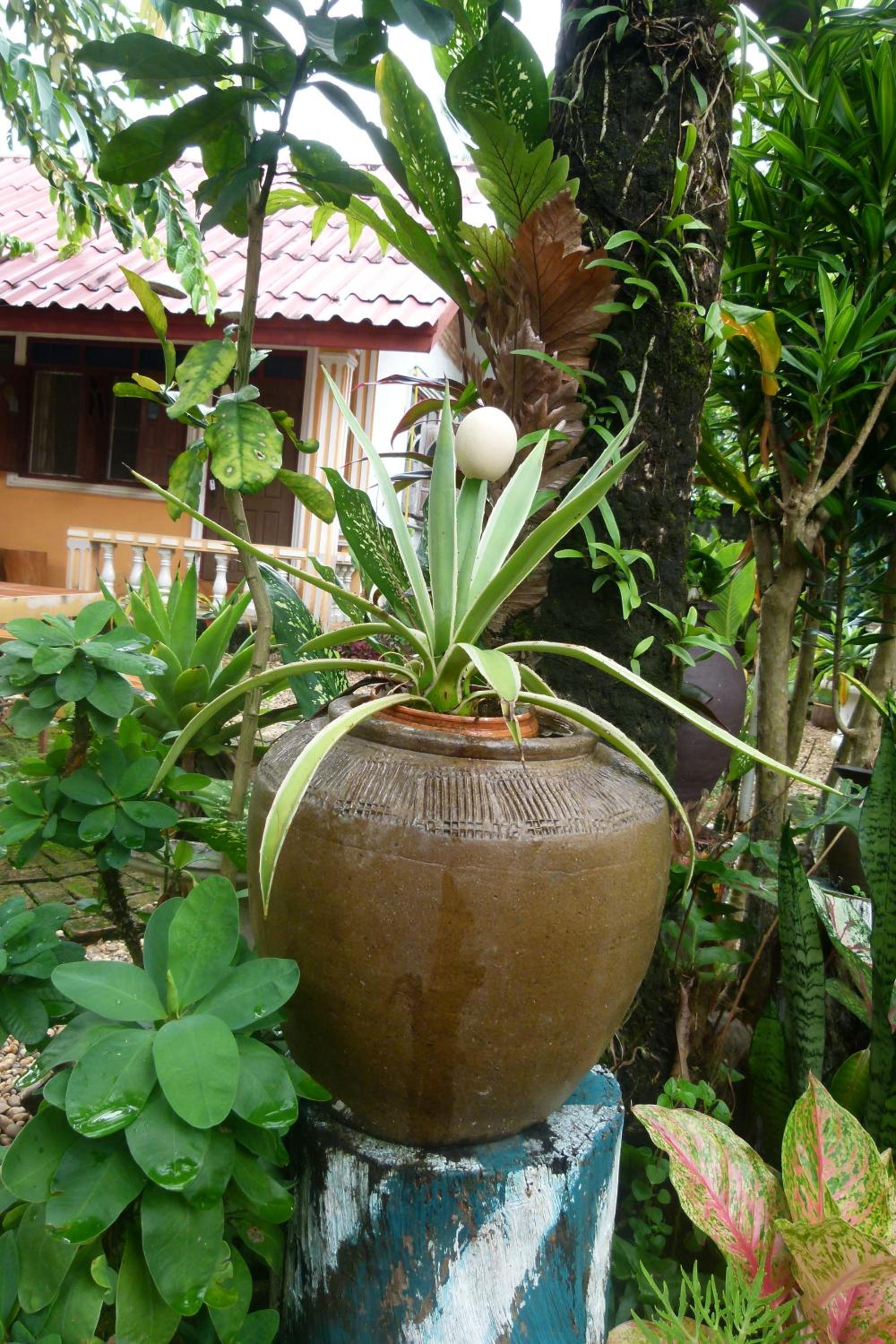 Photo 14