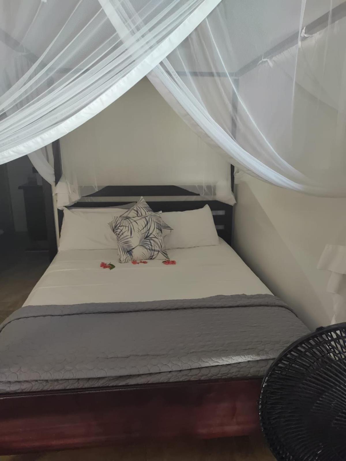 Moringa Villa Studio 1 view 5