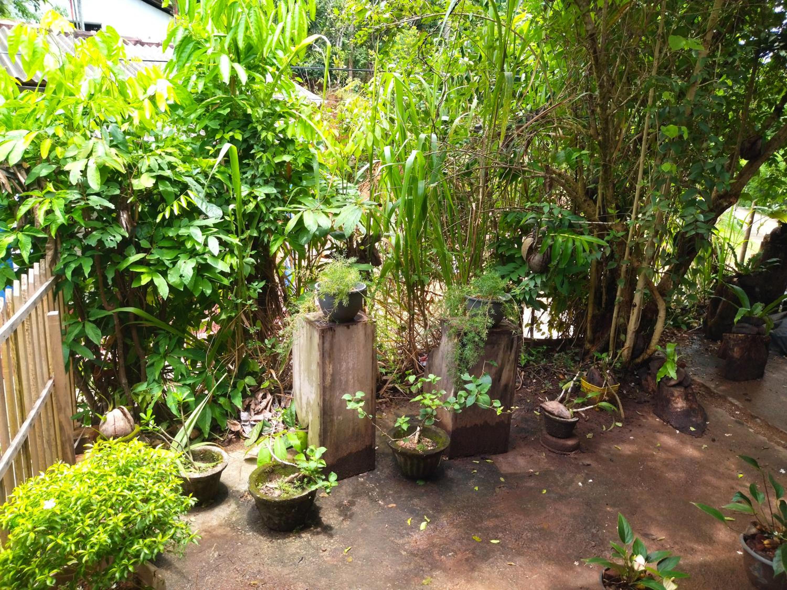 Photo 28