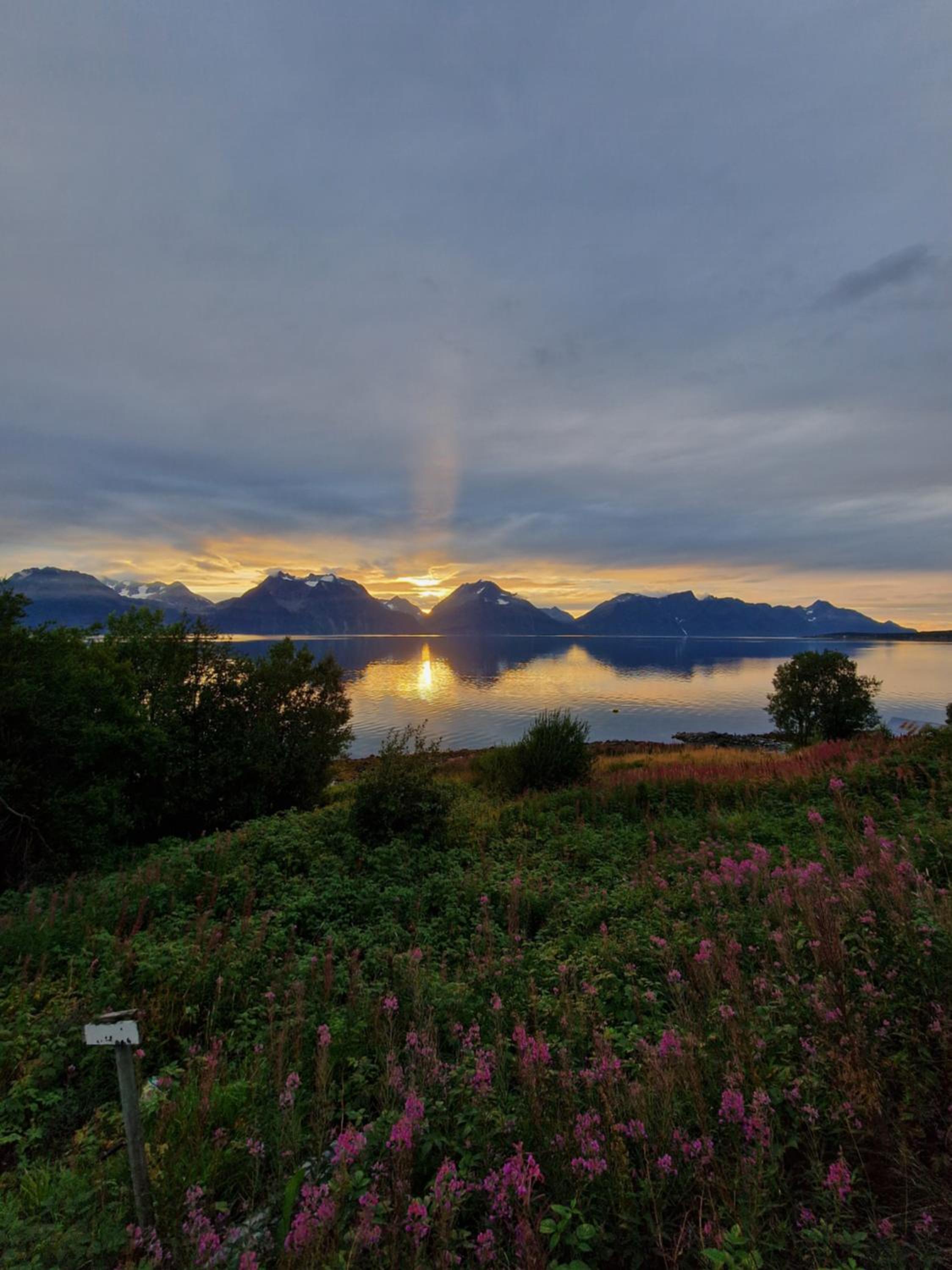 Lyngenfjord view