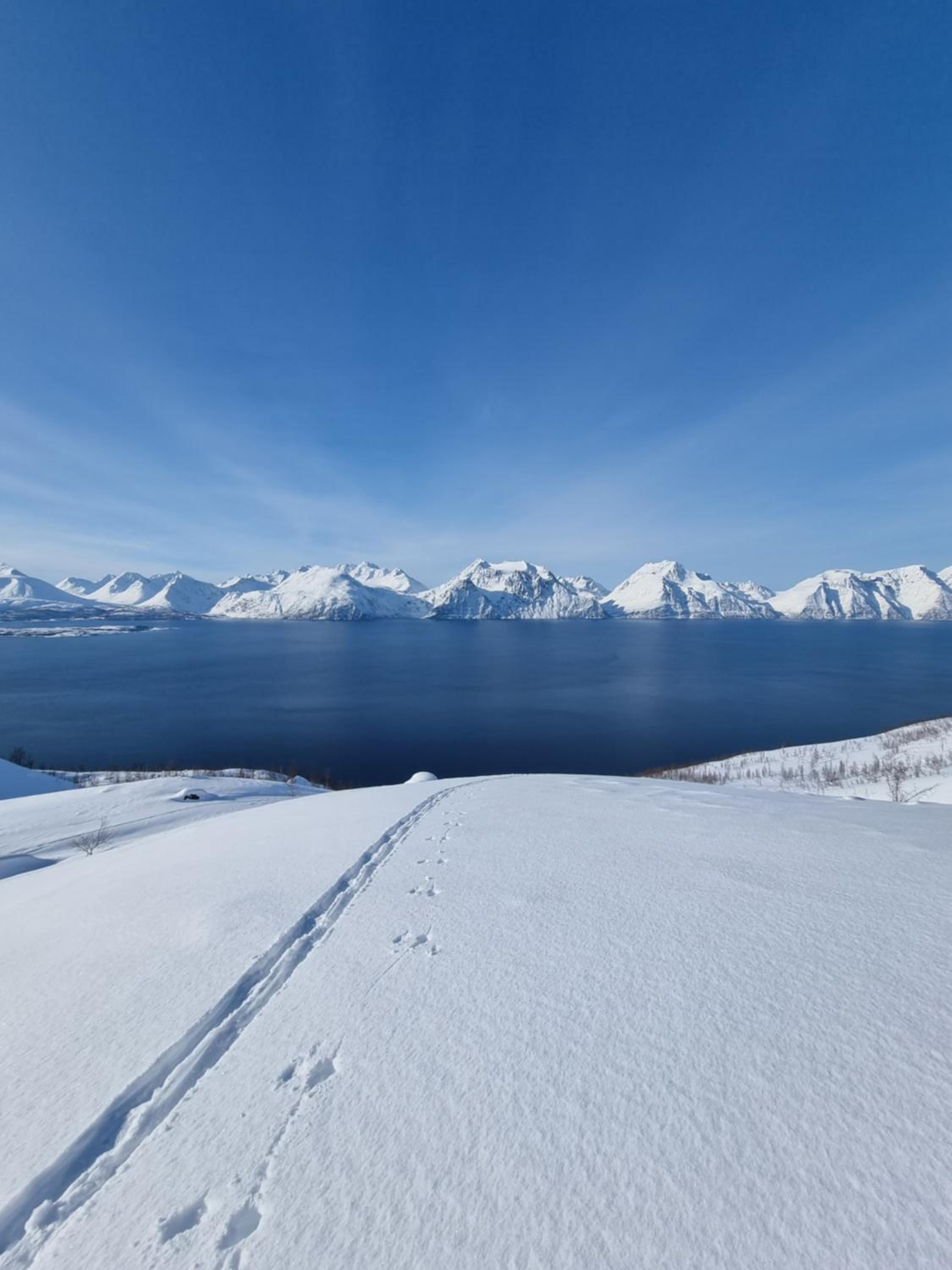 Lyngenfjord view