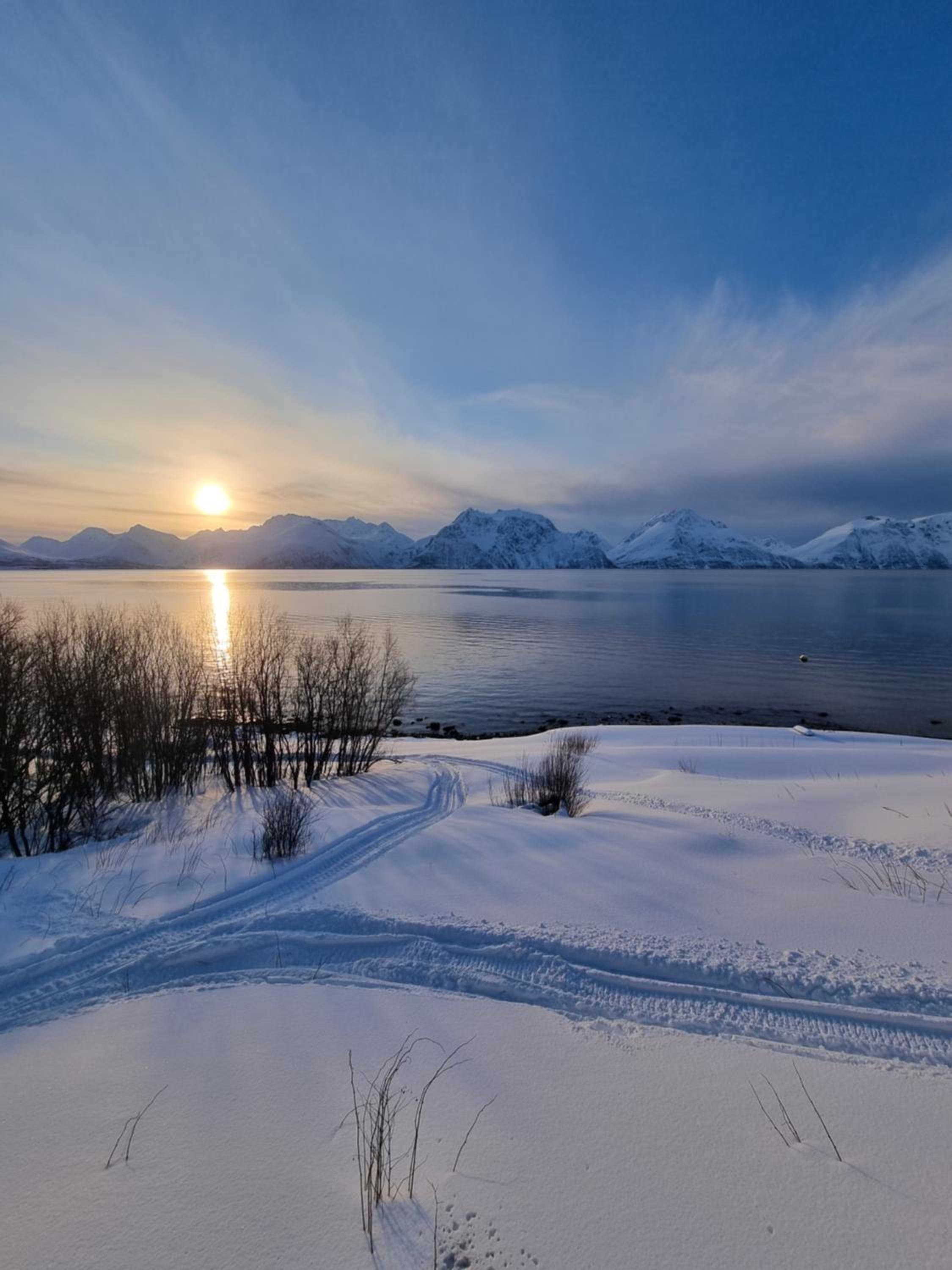 Lyngenfjord view