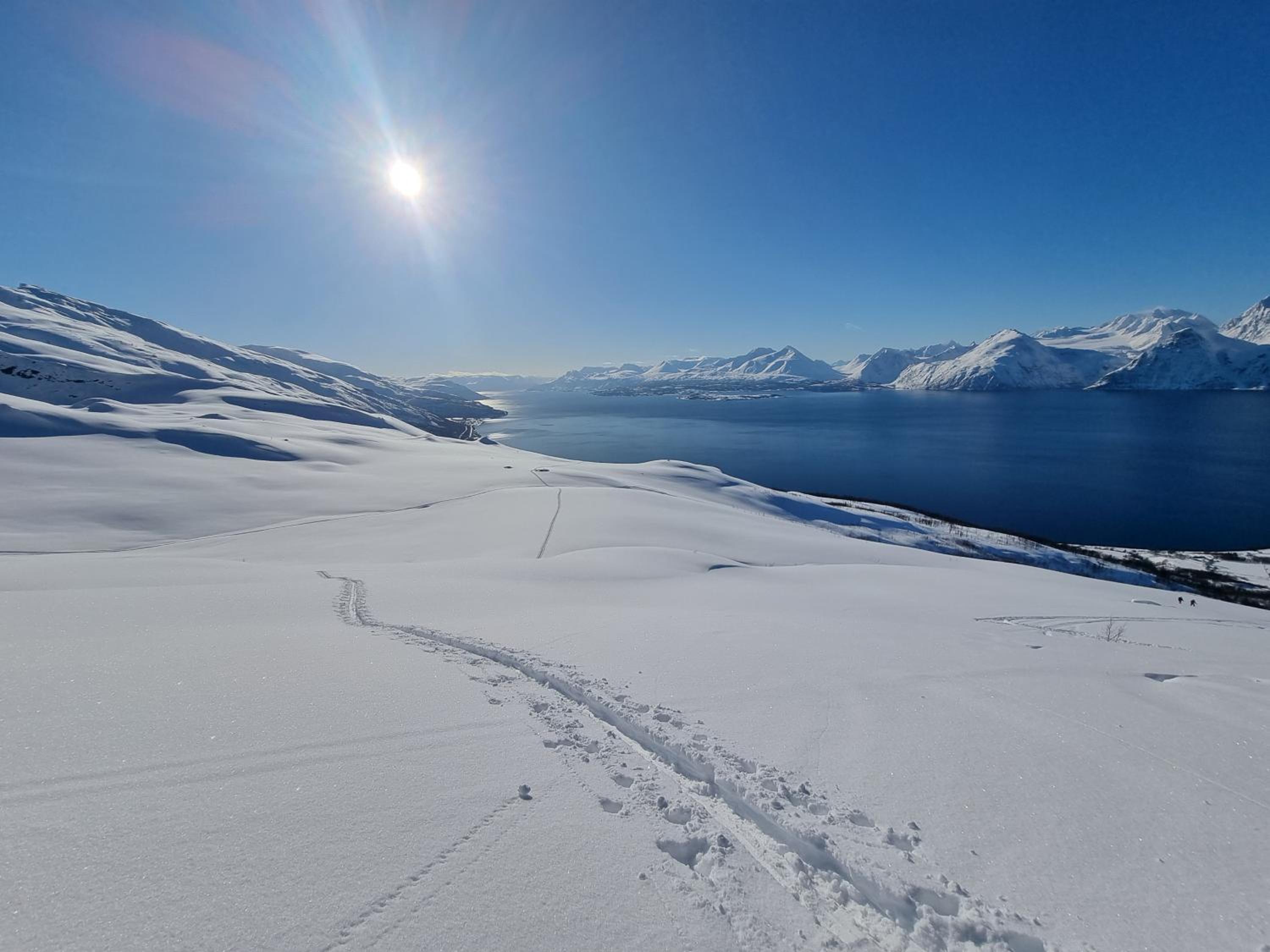 Lyngenfjord view