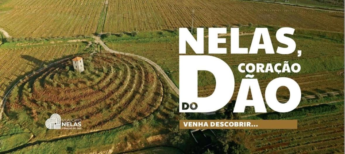 O Cantinho da Penetra AL view 2