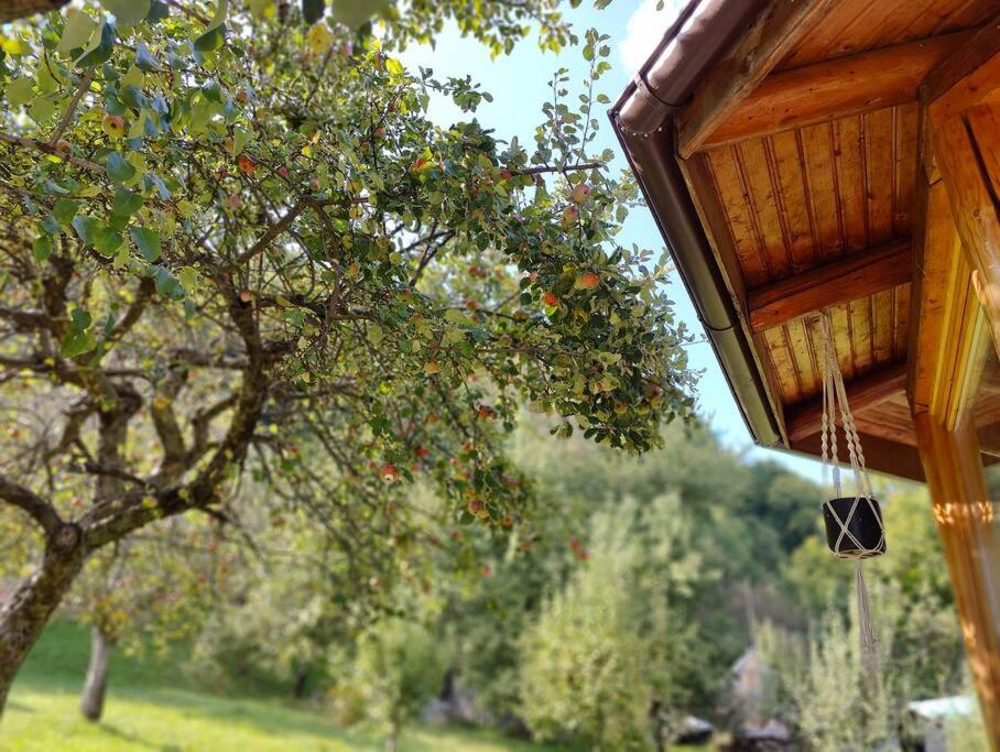 Nature Hideaway