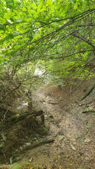 Nature Hideaway