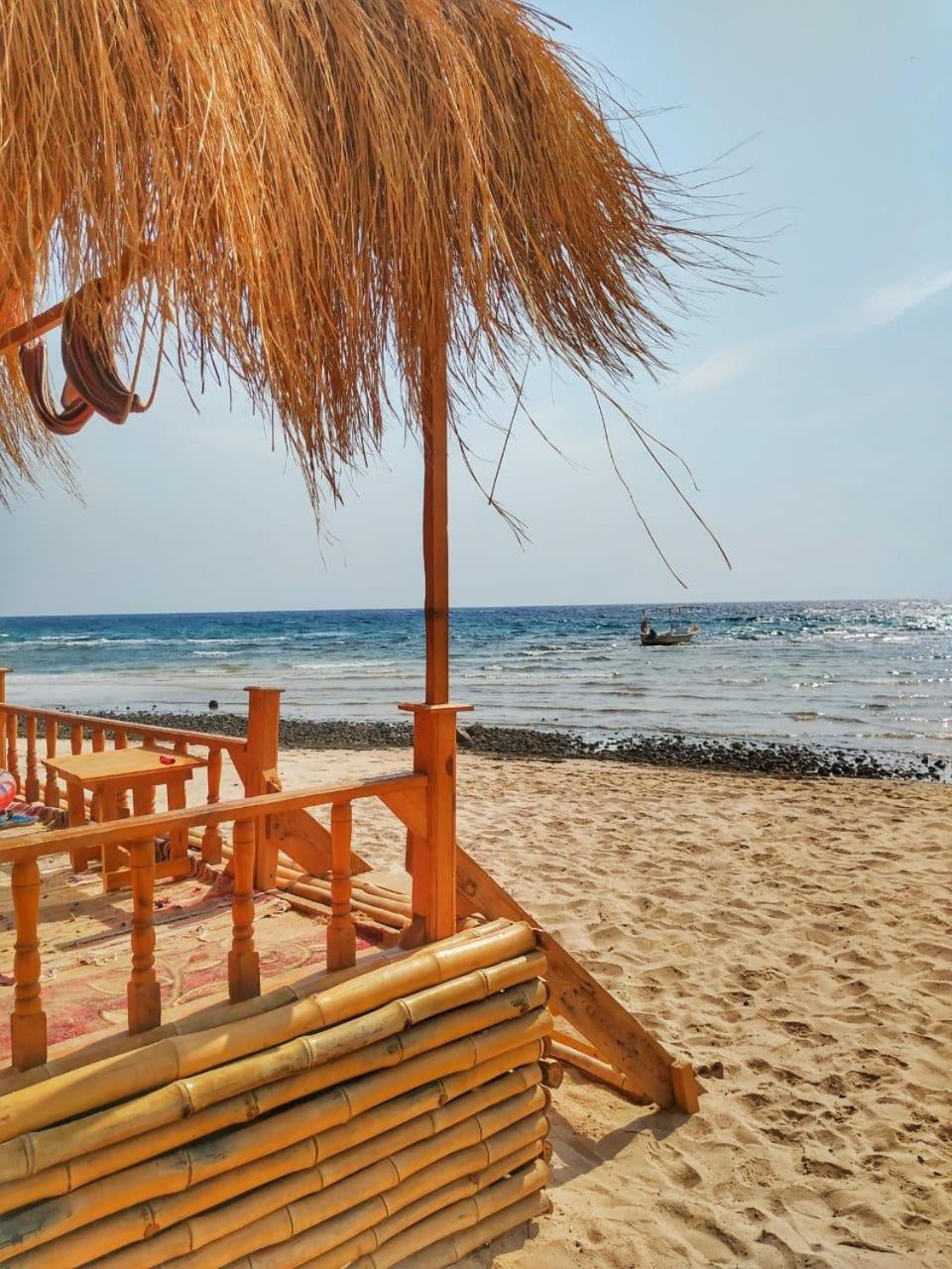Magic land taba camp
