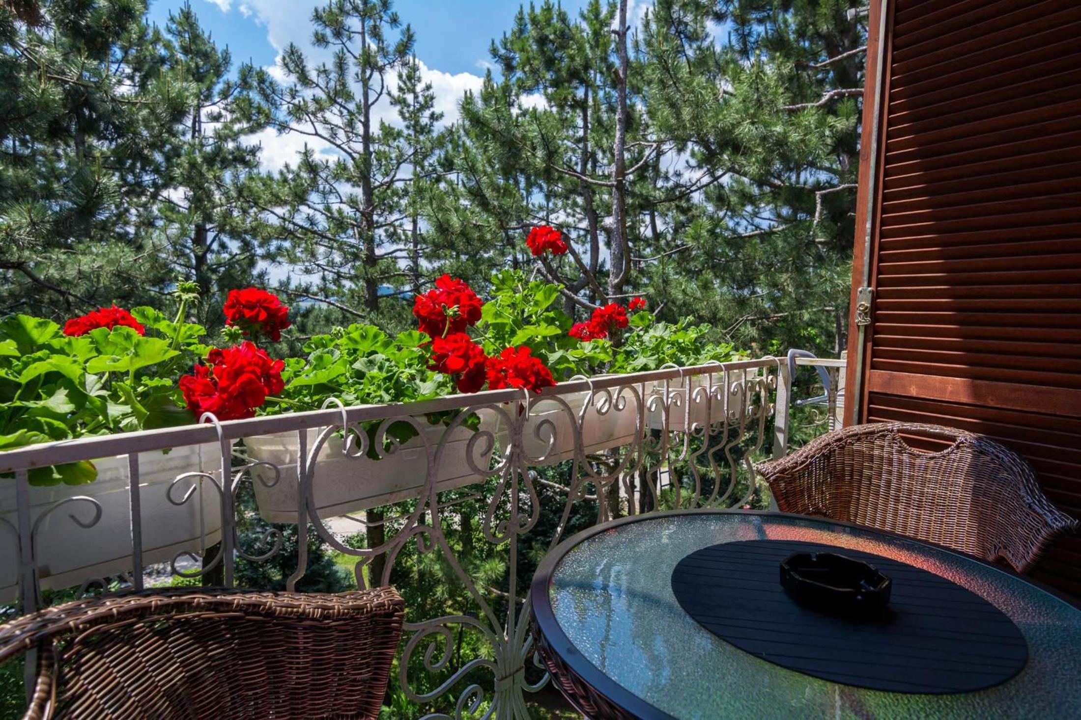 Vila Zora u borovima view 5