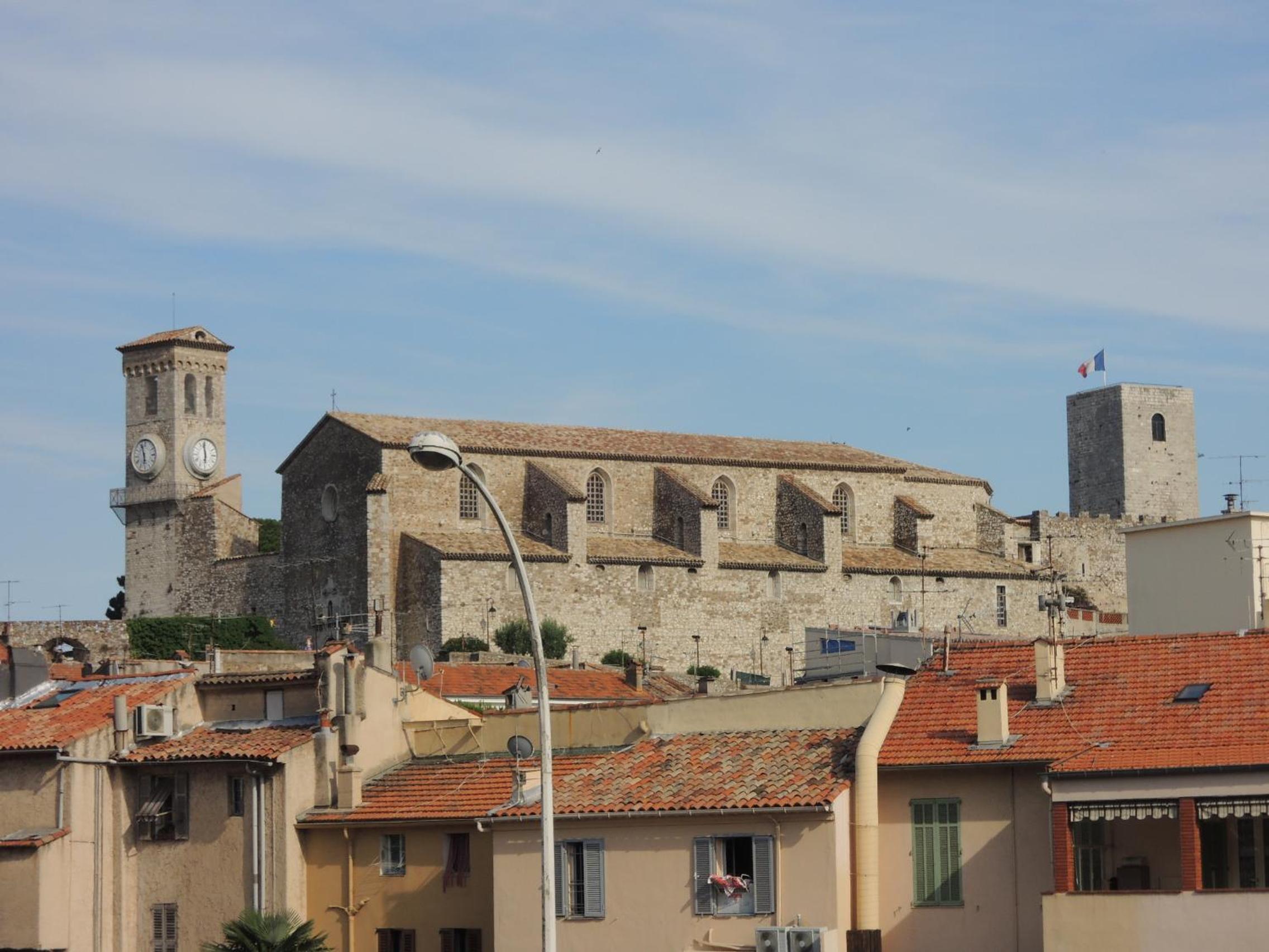 Photo 12