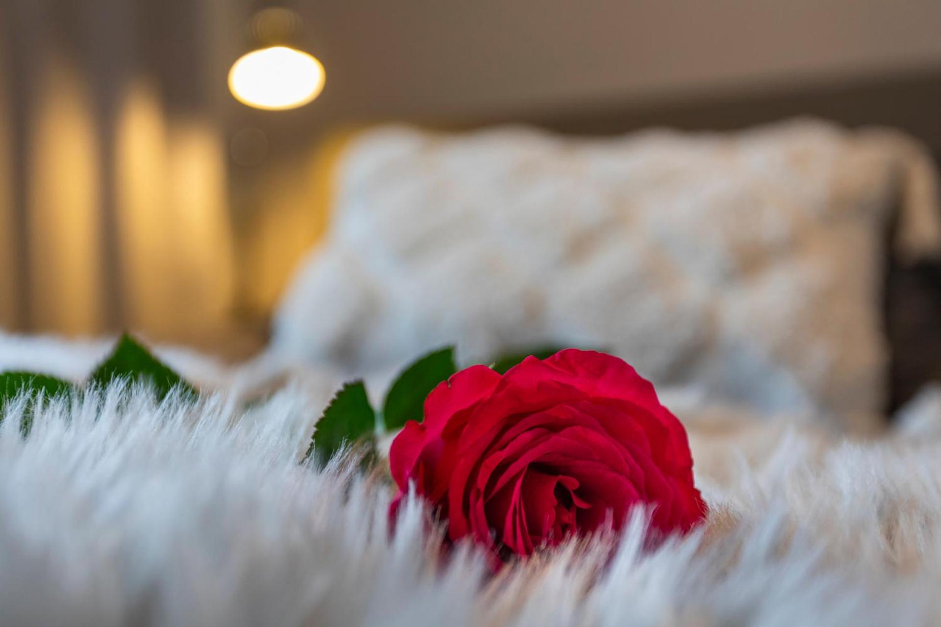 Hotel Vasko luxurious suites, Soilu - Image 1