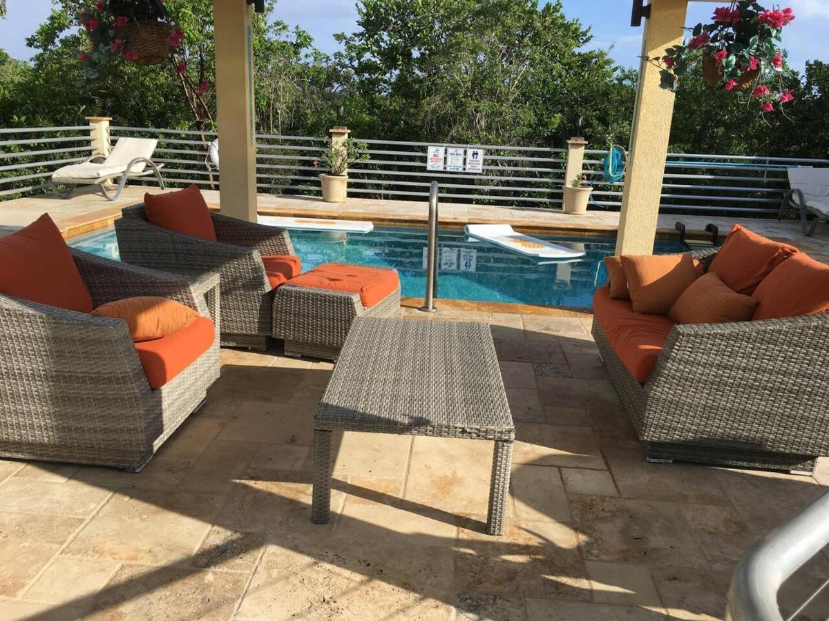 Just Chillin in Little Cayman - Photo 10