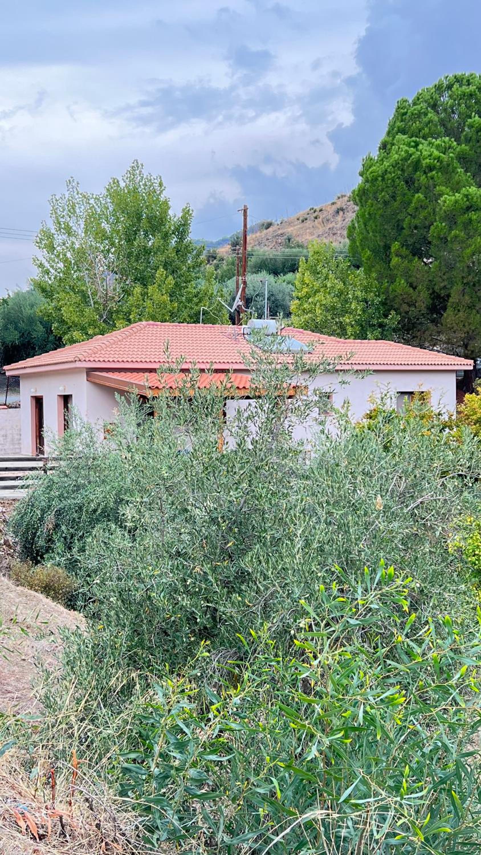 Evie's House Arakapas