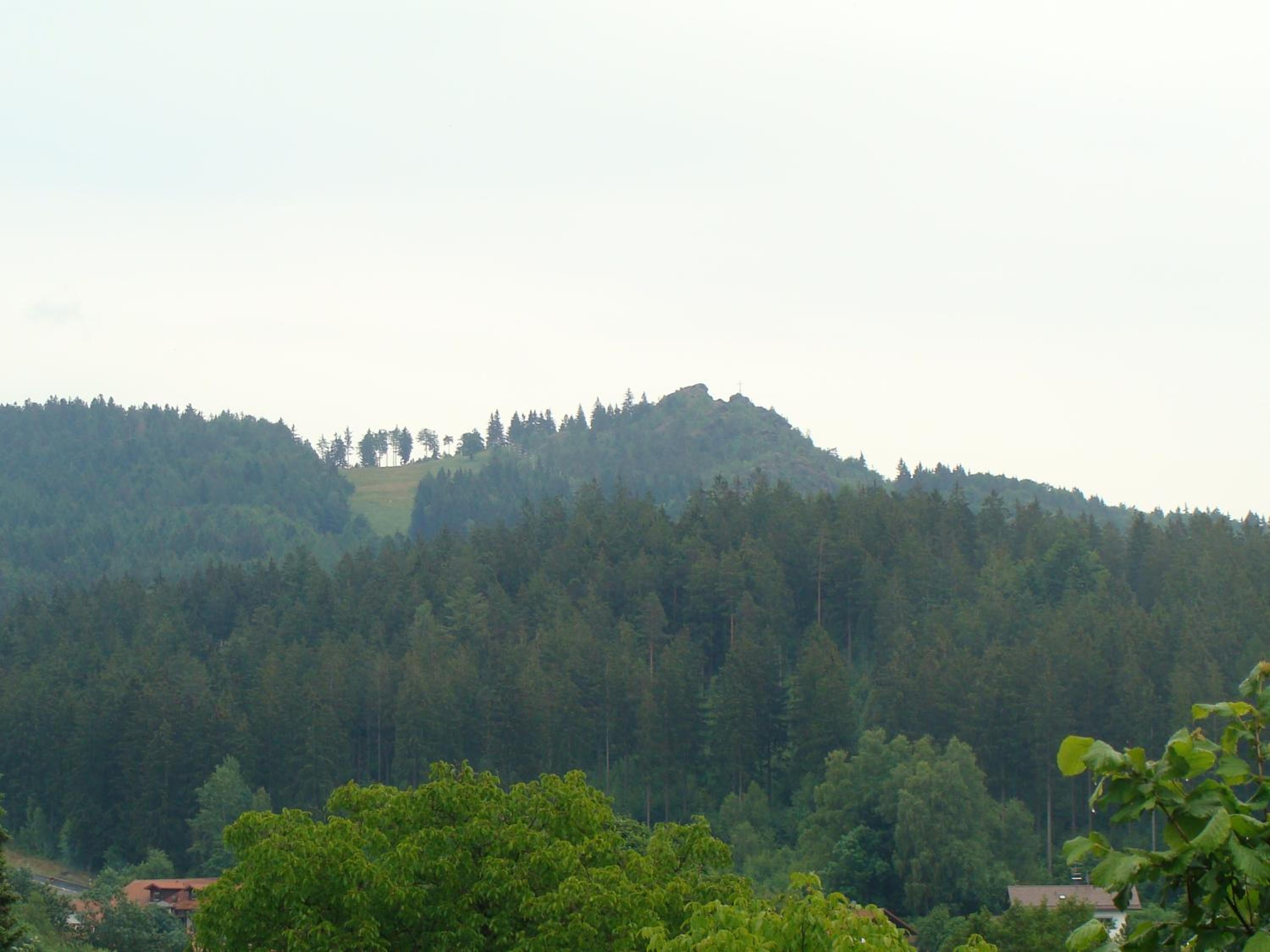 Drei Tannen