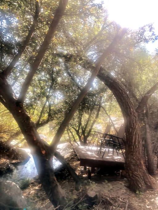 Tillie Creek Retreat: a Creekside Oasis