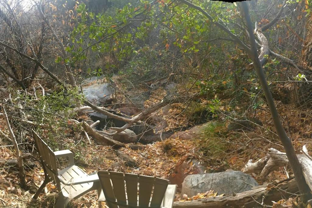 Shirley Creek Retreat: a Mountain Oasis
