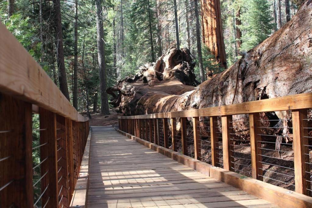 Shirley Creek Retreat: a Mountain Oasis