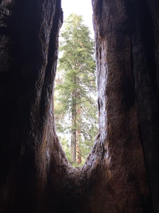 Shirley Creek Retreat: a Mountain Oasis