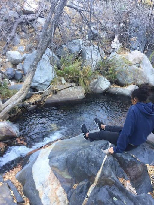 Shirley Creek Retreat: a Mountain Oasis