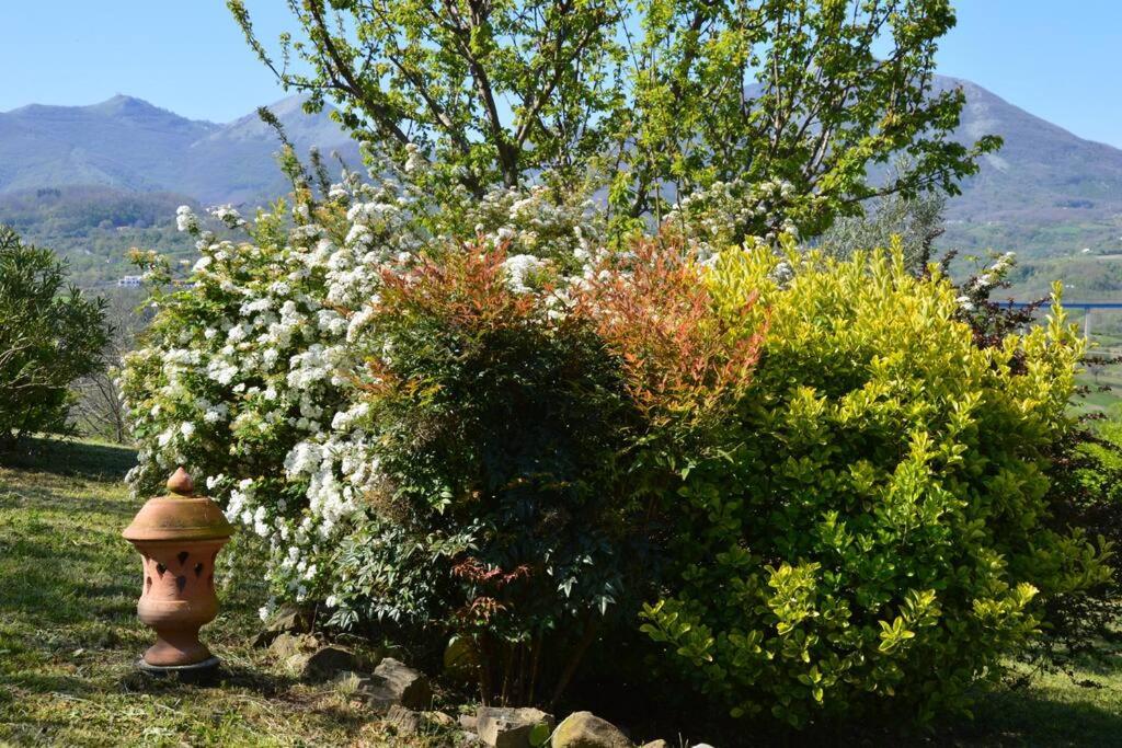 Countryhouse Maratea coast Pollino Park