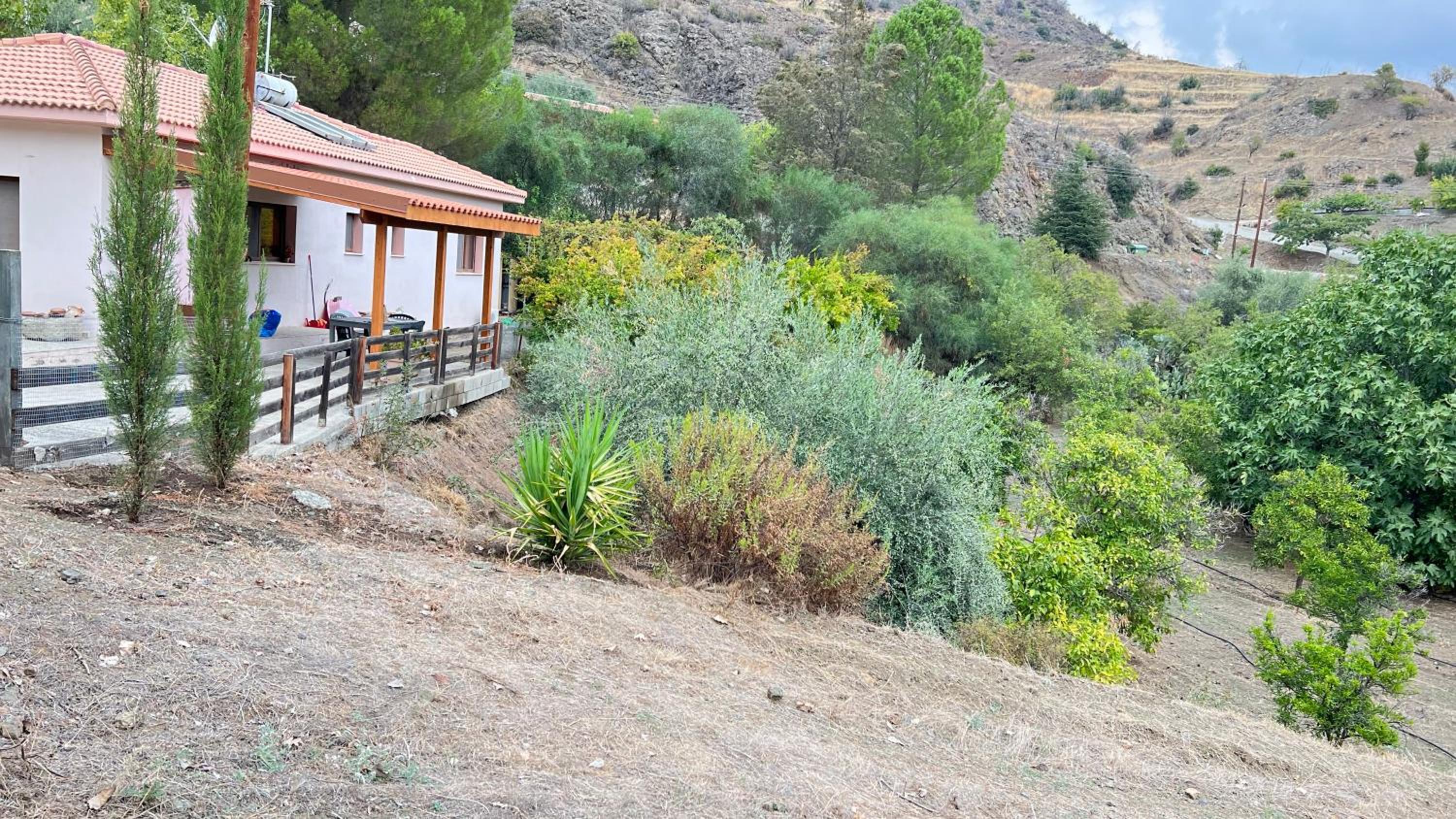 Evie's House Arakapas