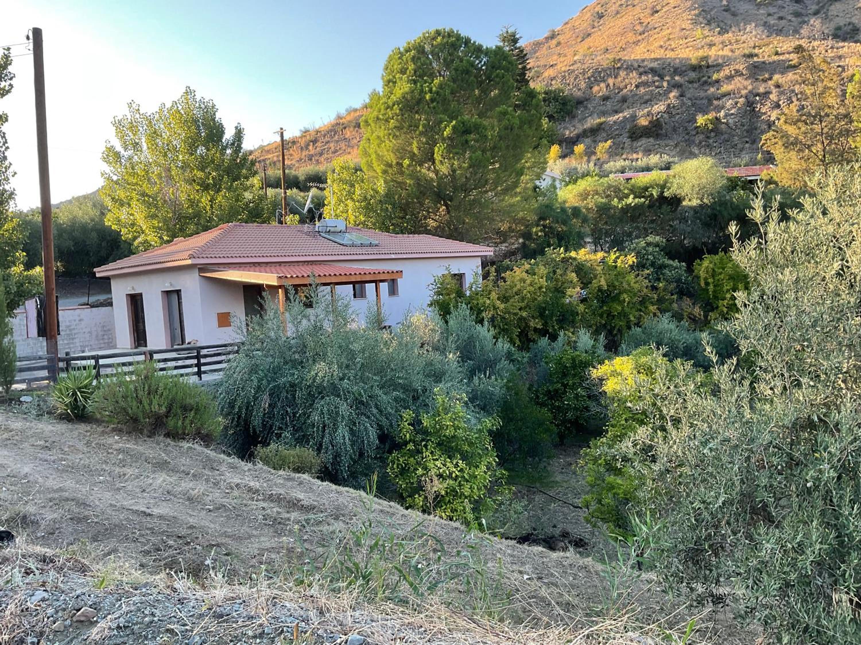 Evie's House Arakapas