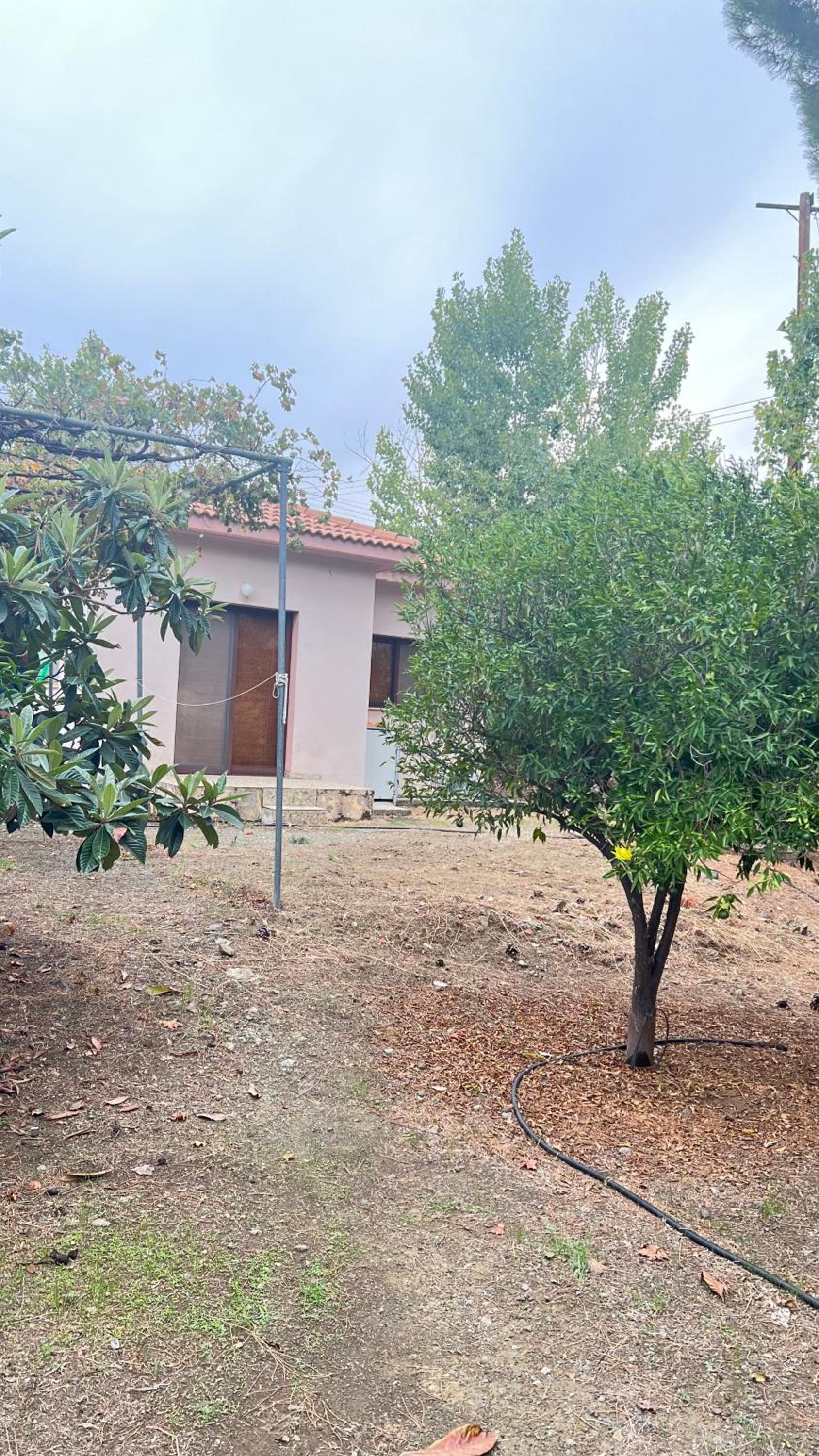 Evie's House Arakapas