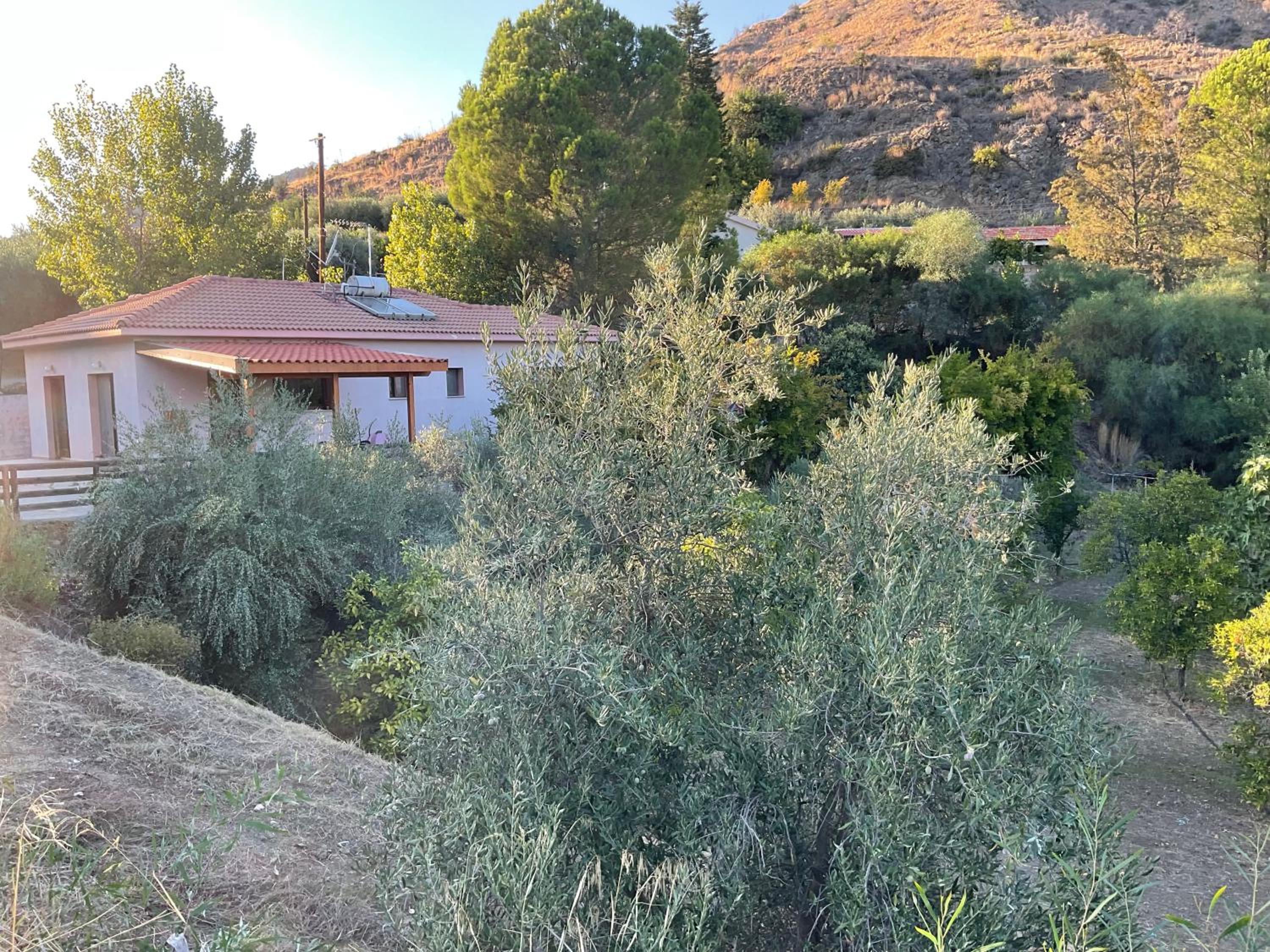 Evie's House Arakapas