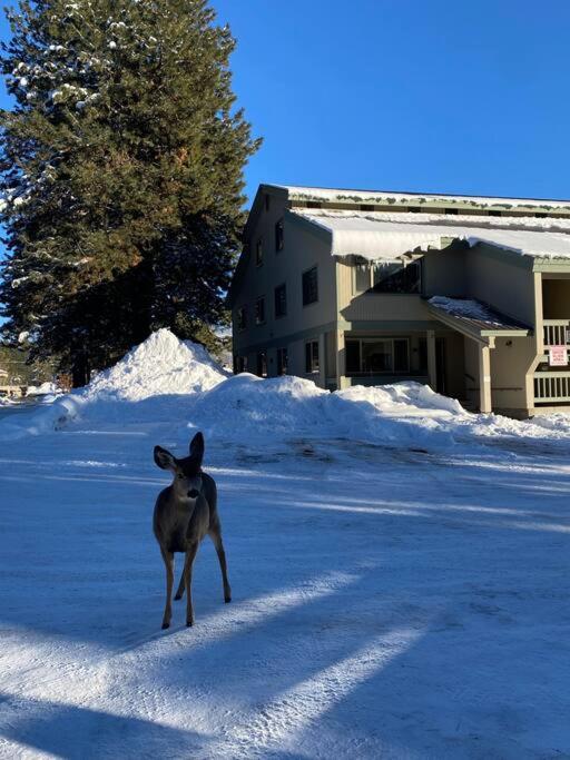 Hotel McCall Mountain Getaway - Pet Friendly - Image 1