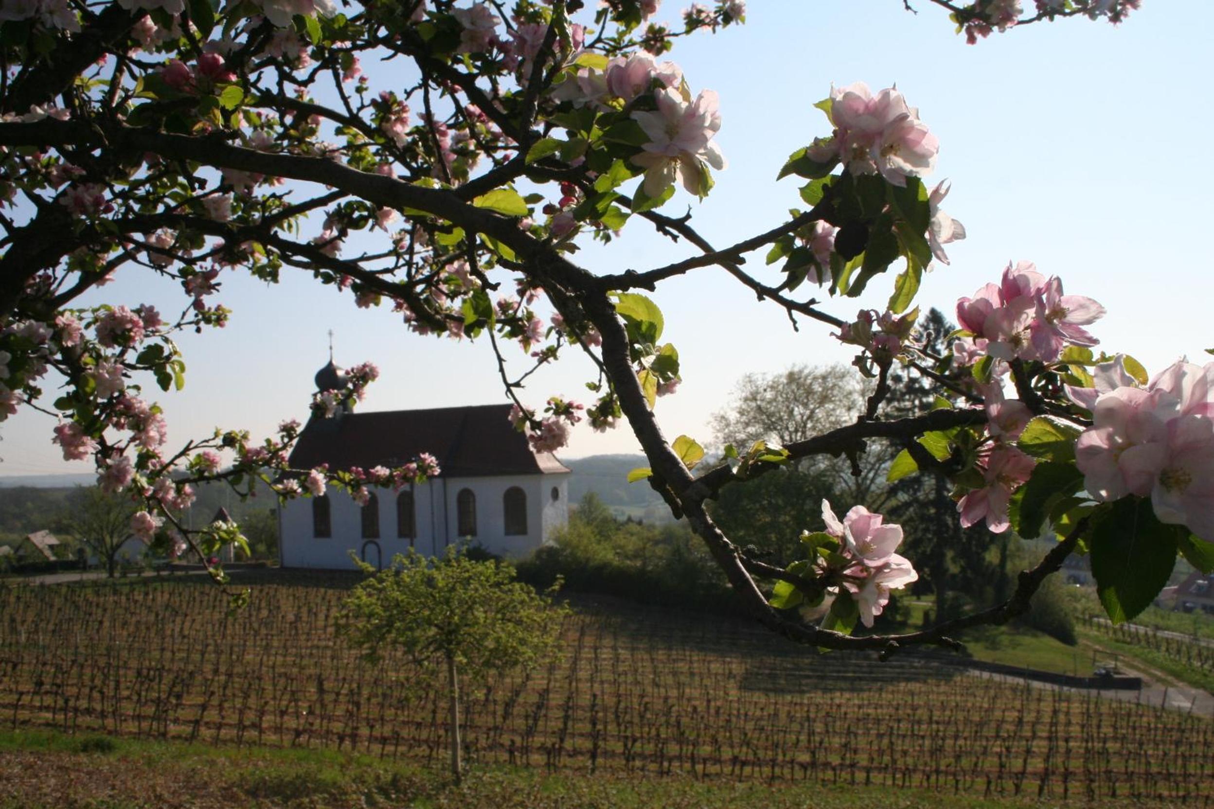 Villa Mandelblüte