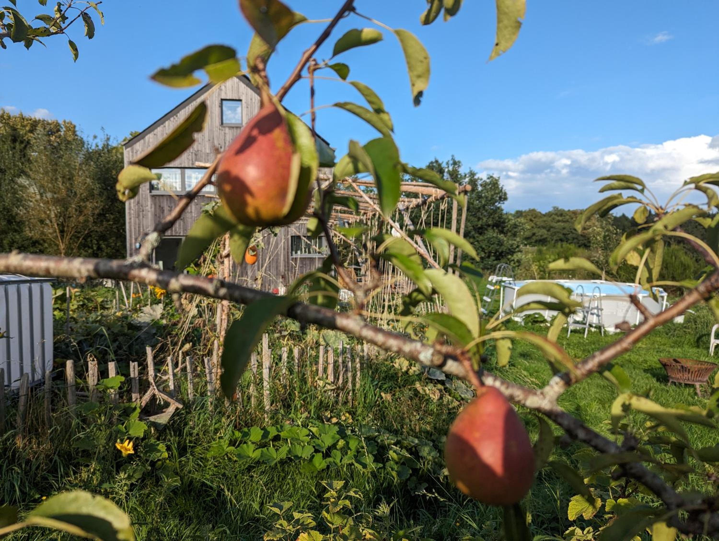Gîte des Genêts en terrasses