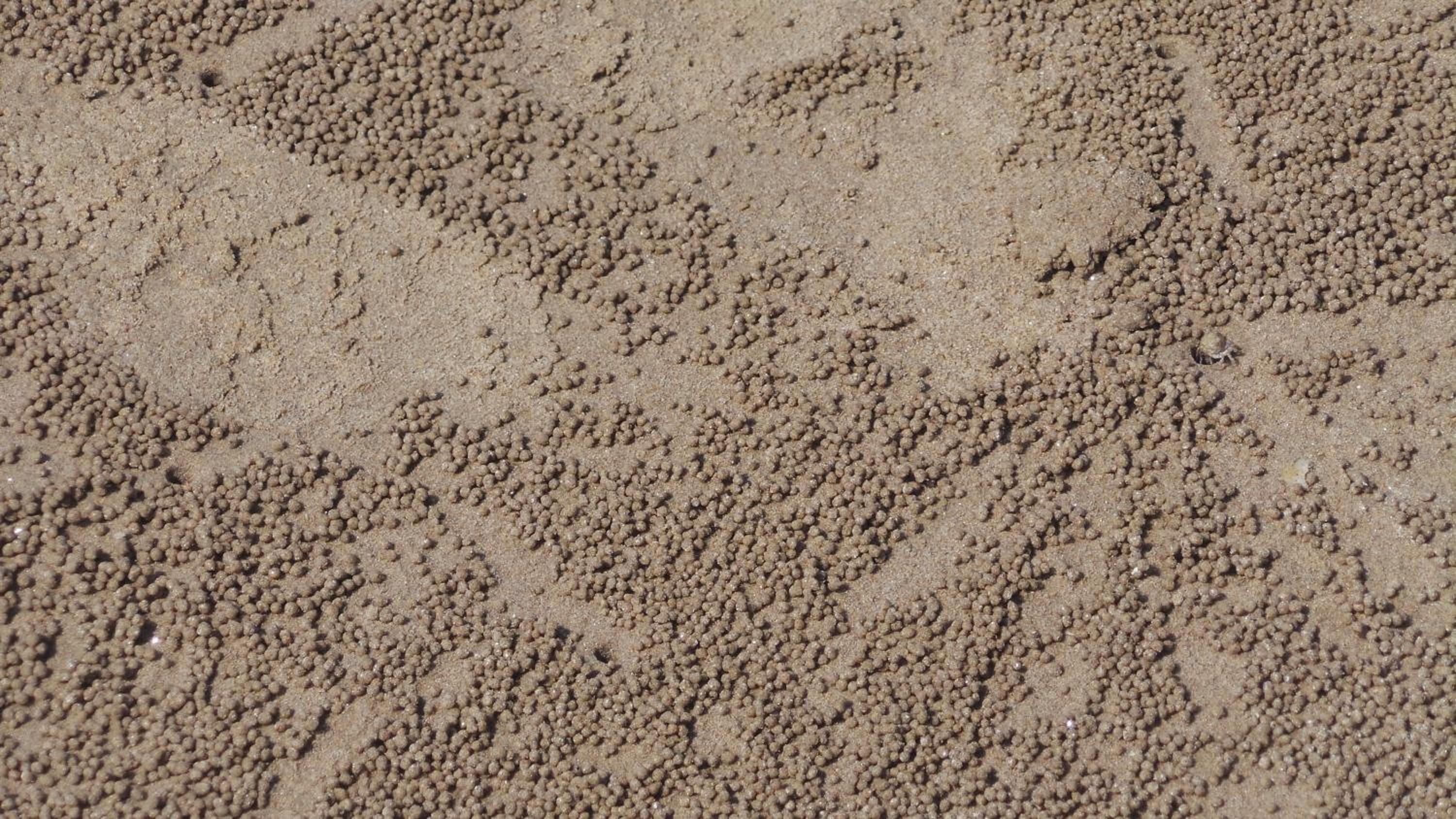 Photo 47