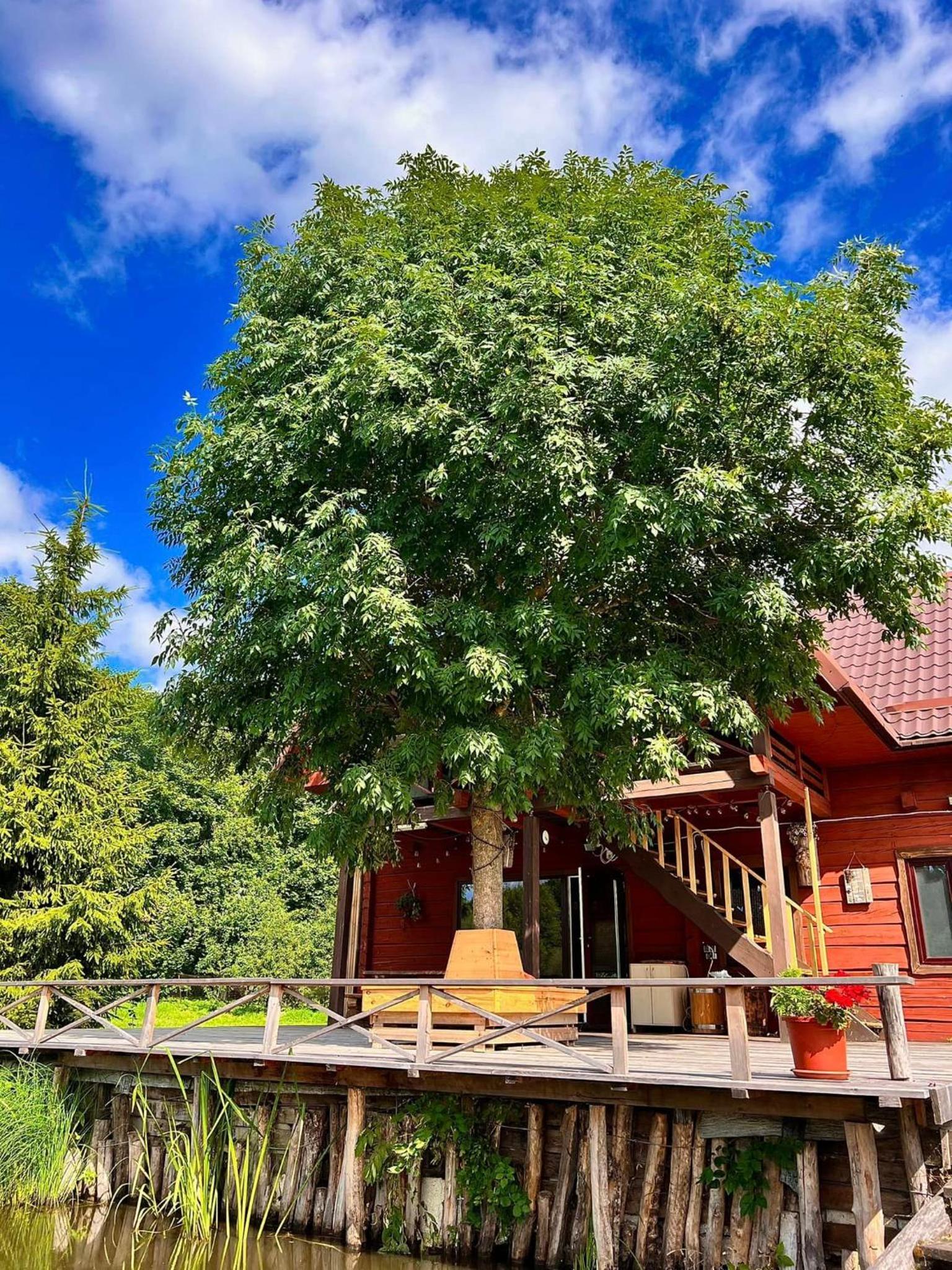 Homestead Kadagys