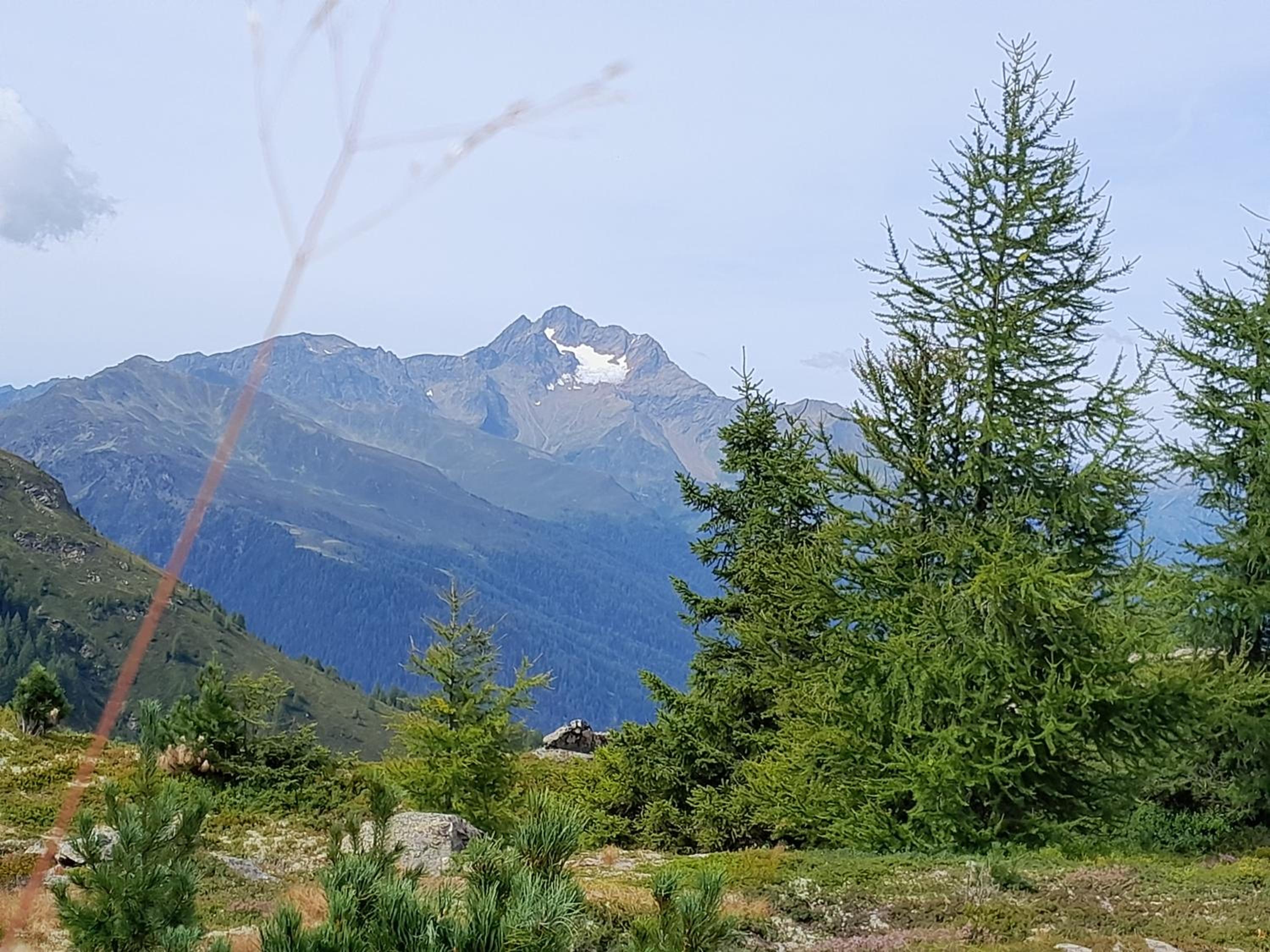 Haus Hotz Apart Talblick