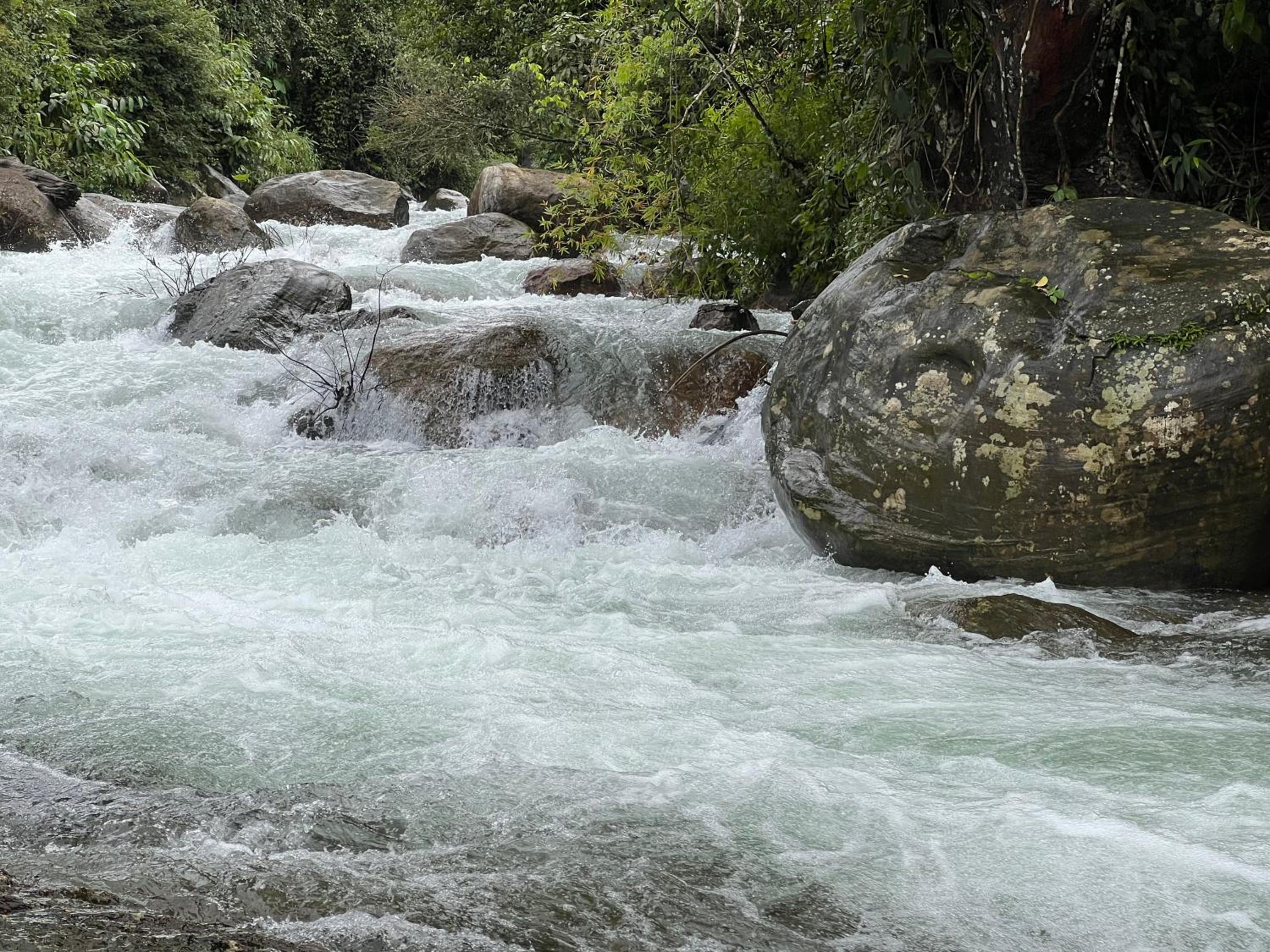 900 Woods Wayanad Eco Resort - A Sprawling Jungle Stay near Glass Bridge