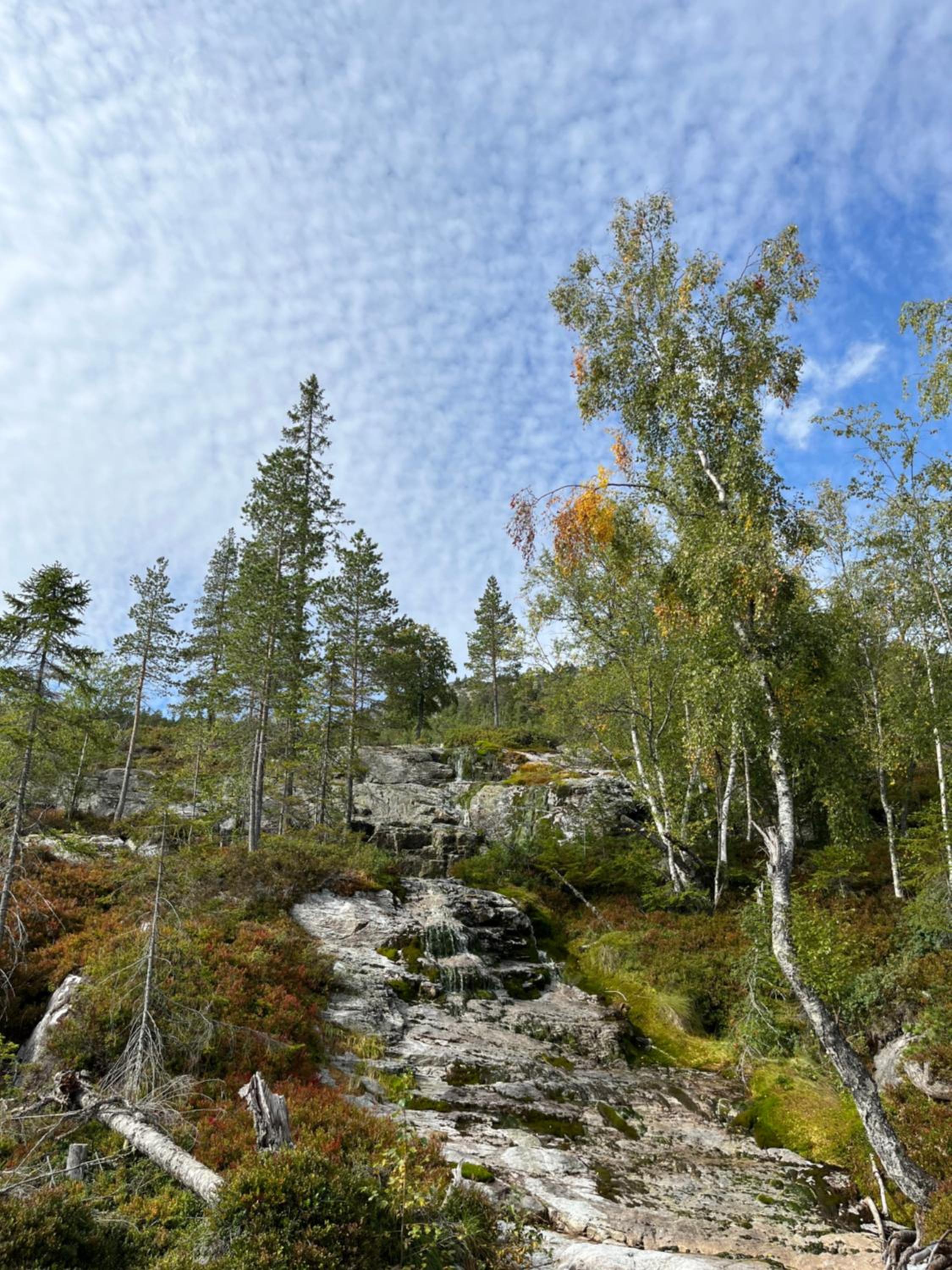 Polaren by Norgesbooking - cabin with amazing view view 3
