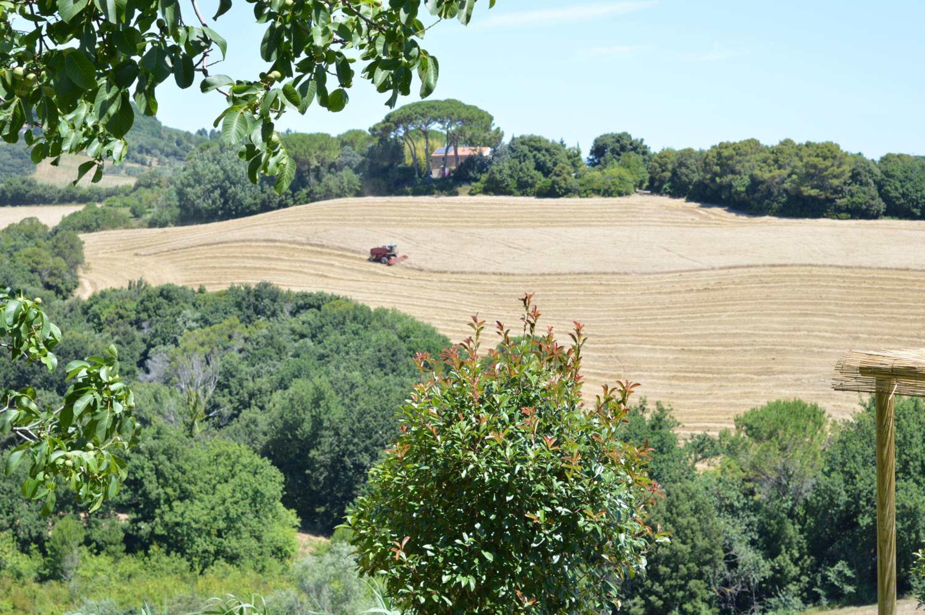 Agriturismo Cappellese