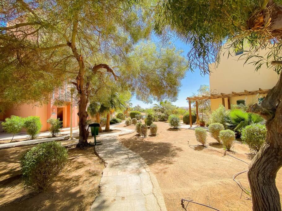 Wonderful apartment at beautiful lagoon