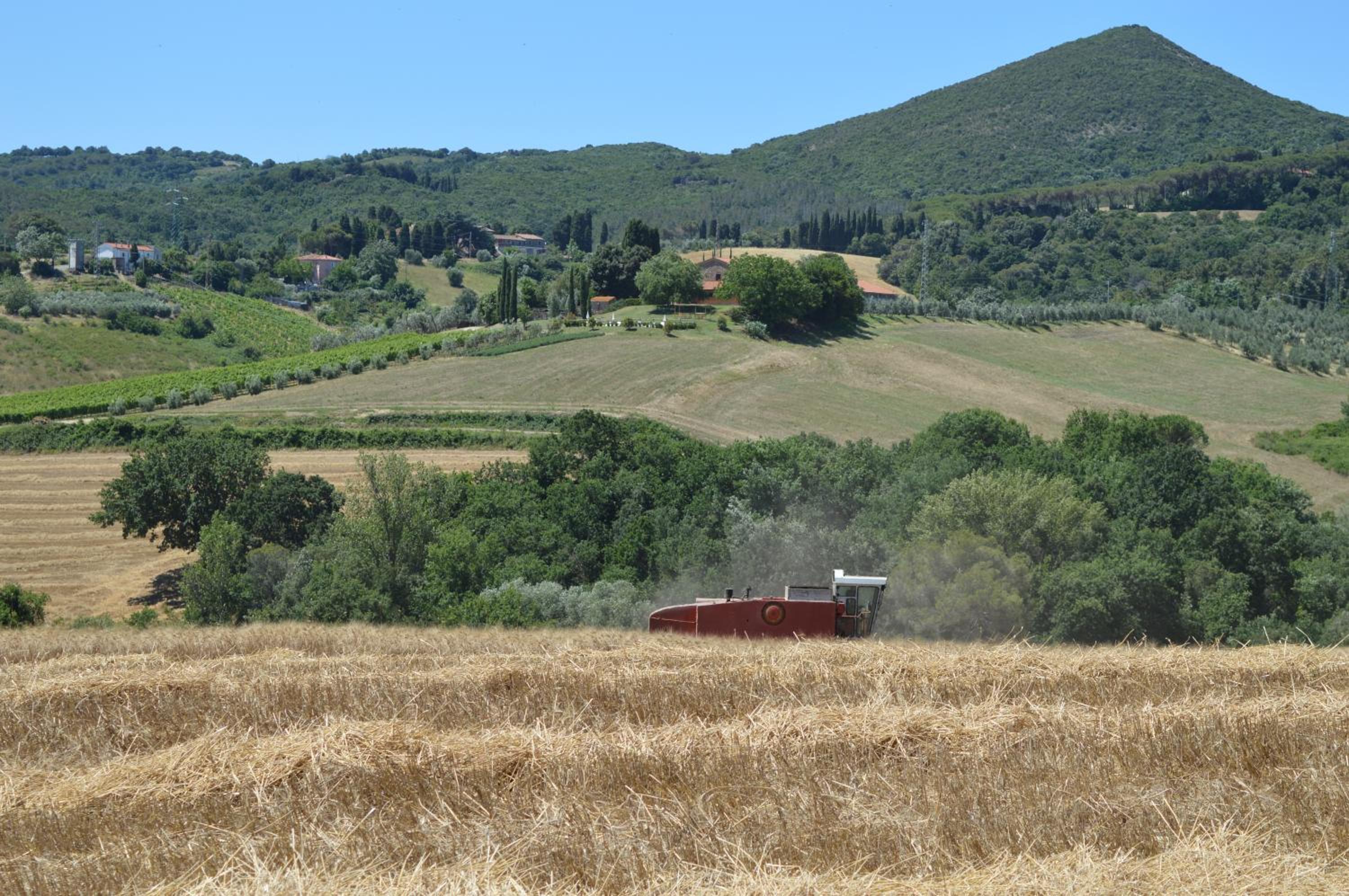Agriturismo Cappellese