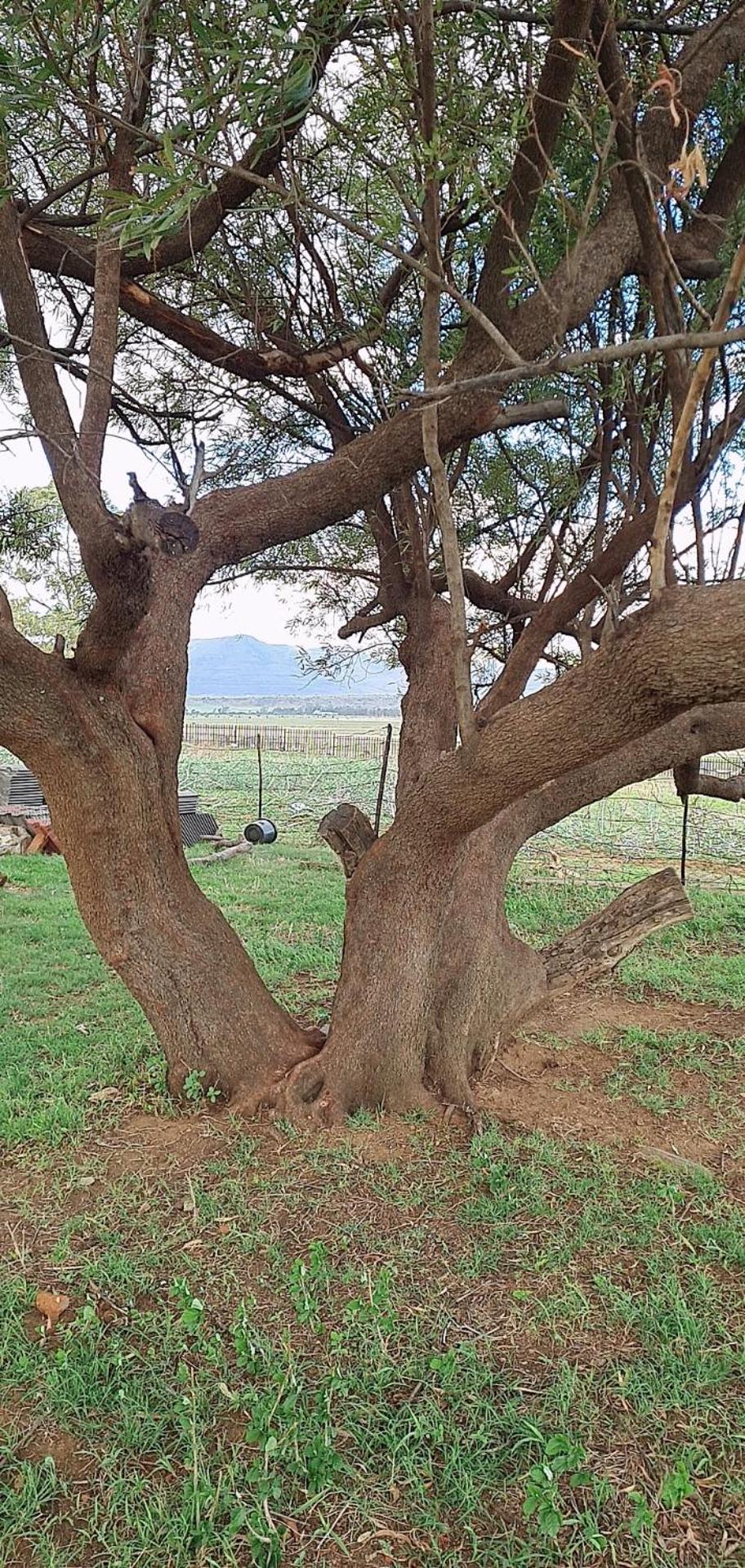 Cacadu Country And Retreat Stay view 4