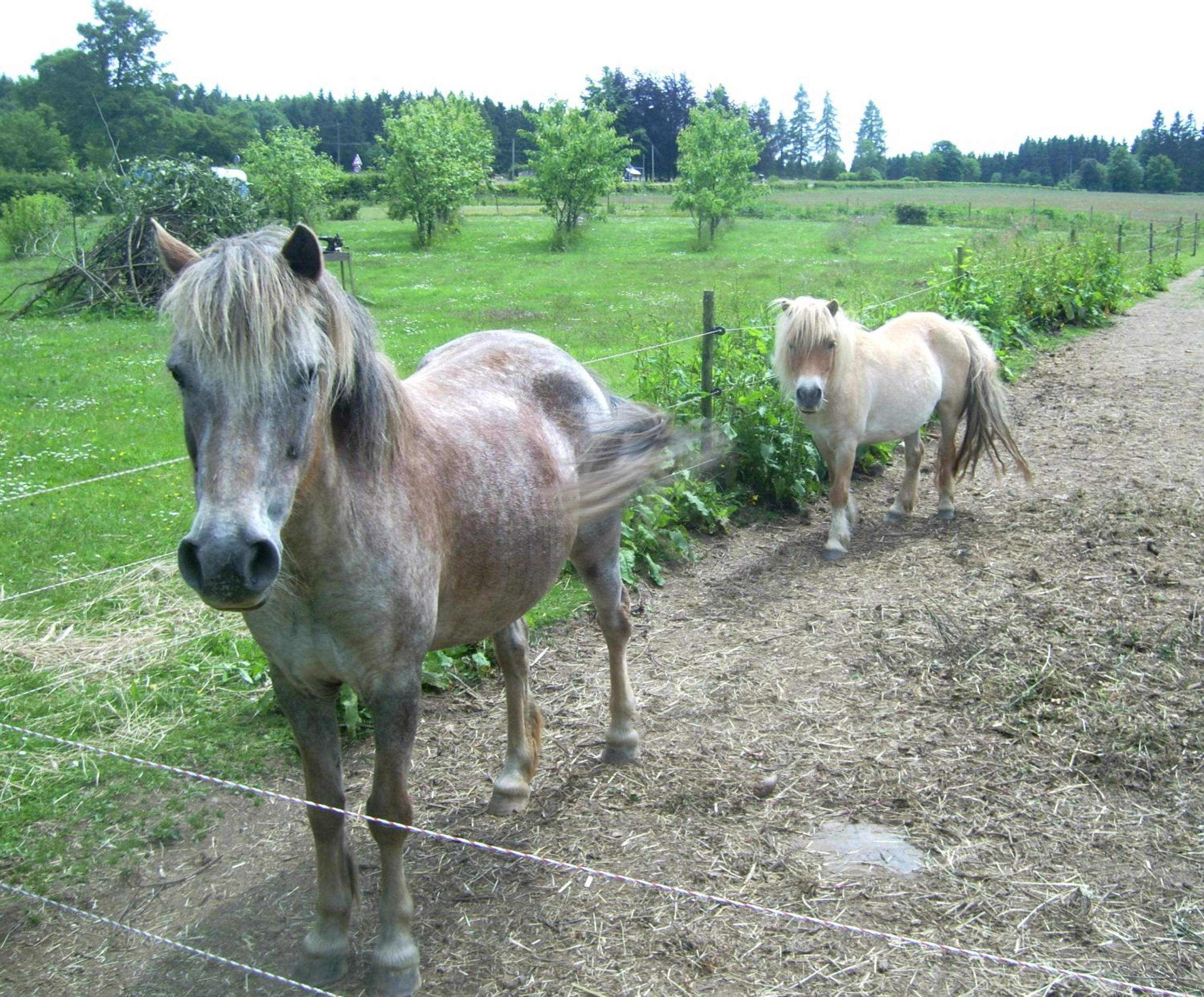 Heidehof Hellenthal