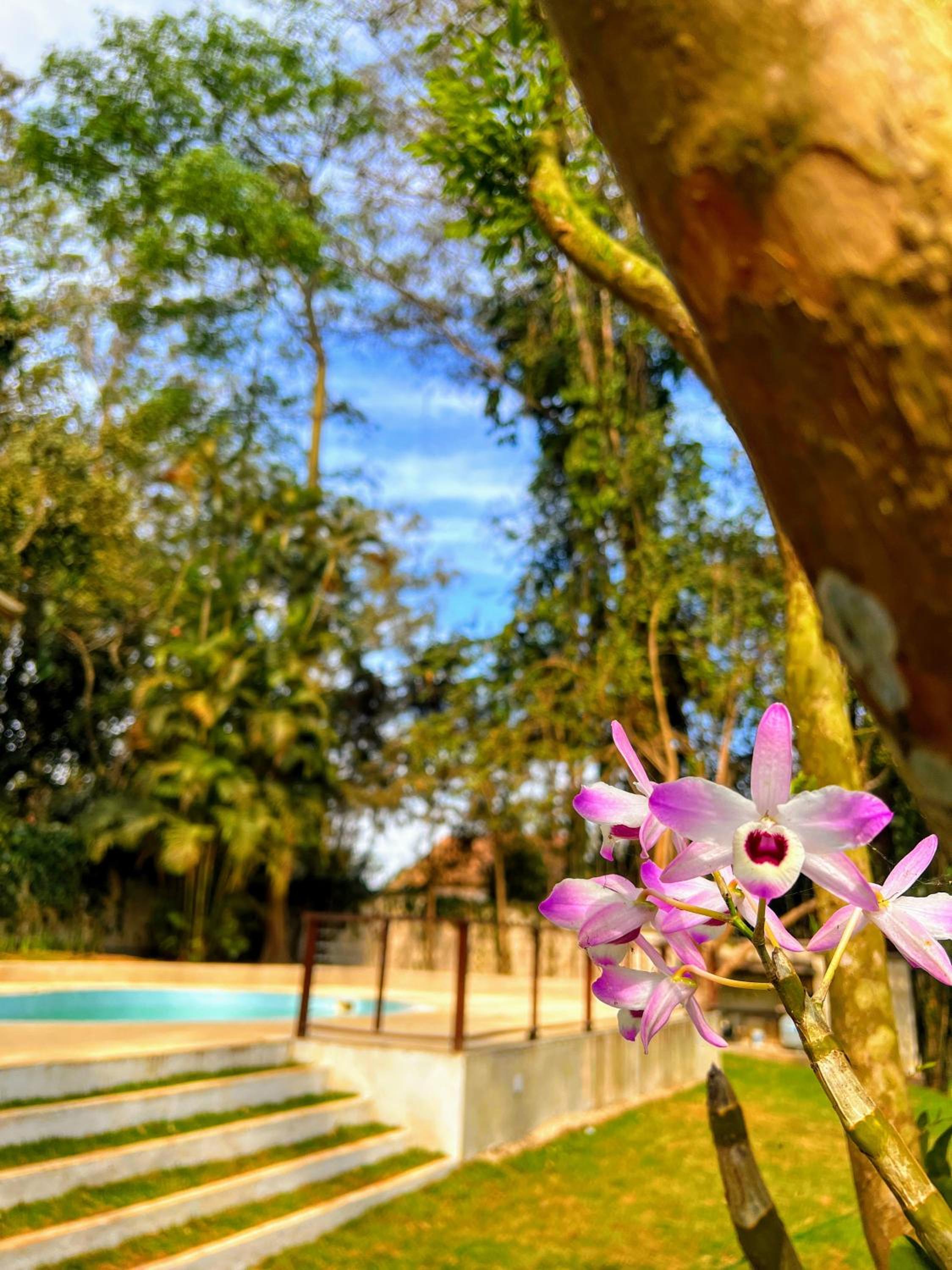 Recanto Riviera, Nature Retreat Away from the City