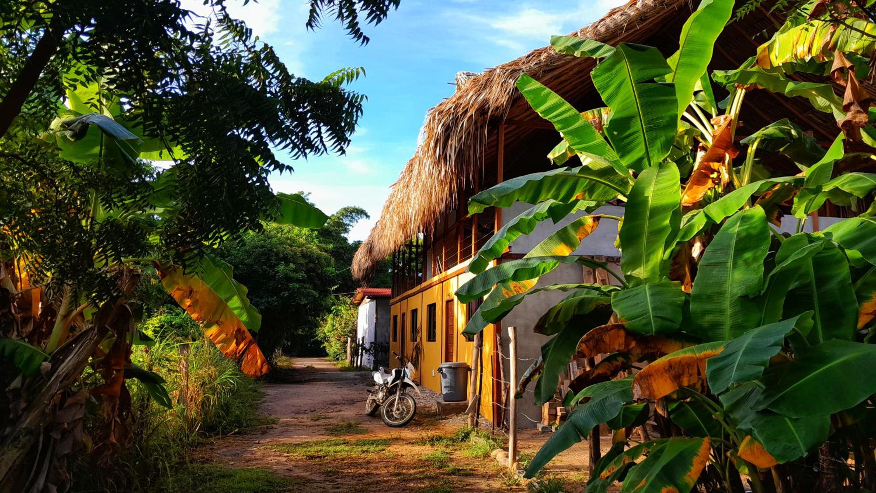 Casa Matilda - Palomino