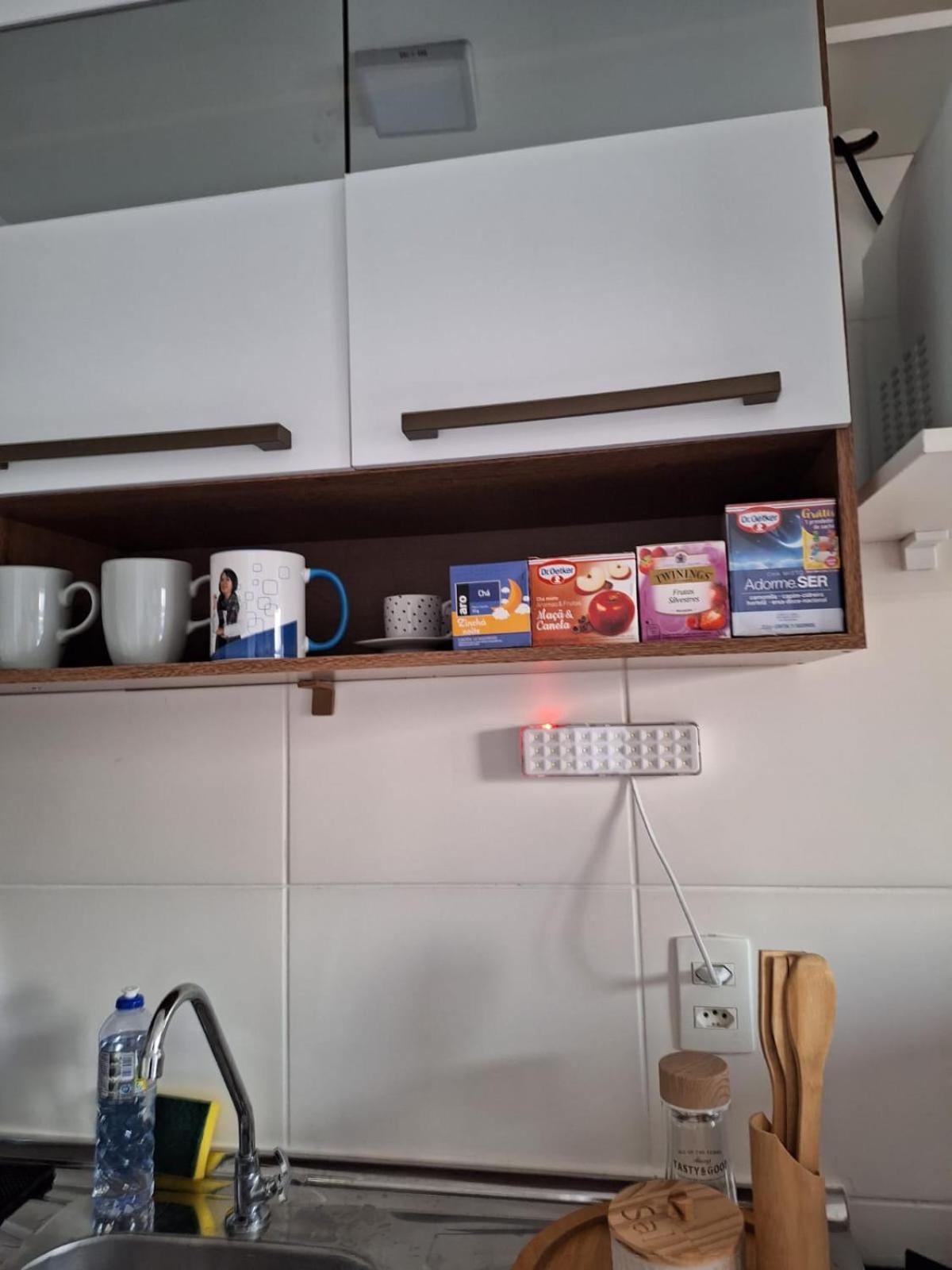 1107 Ponte Laguna, Pq Burle Marx, Apto 1 dorm e Varanda