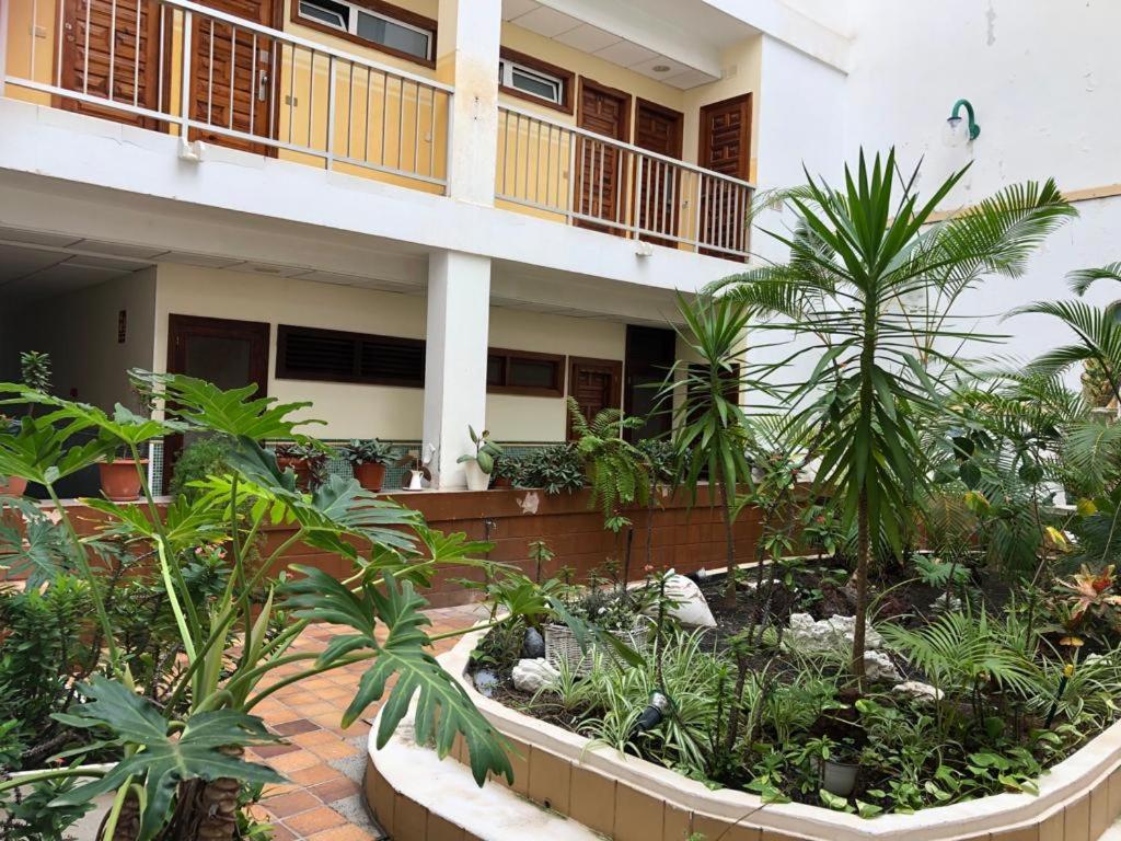 Green Beach Las Canteras