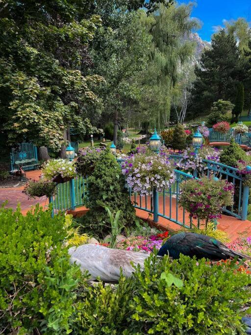 The Creekside Cabin at La Caille