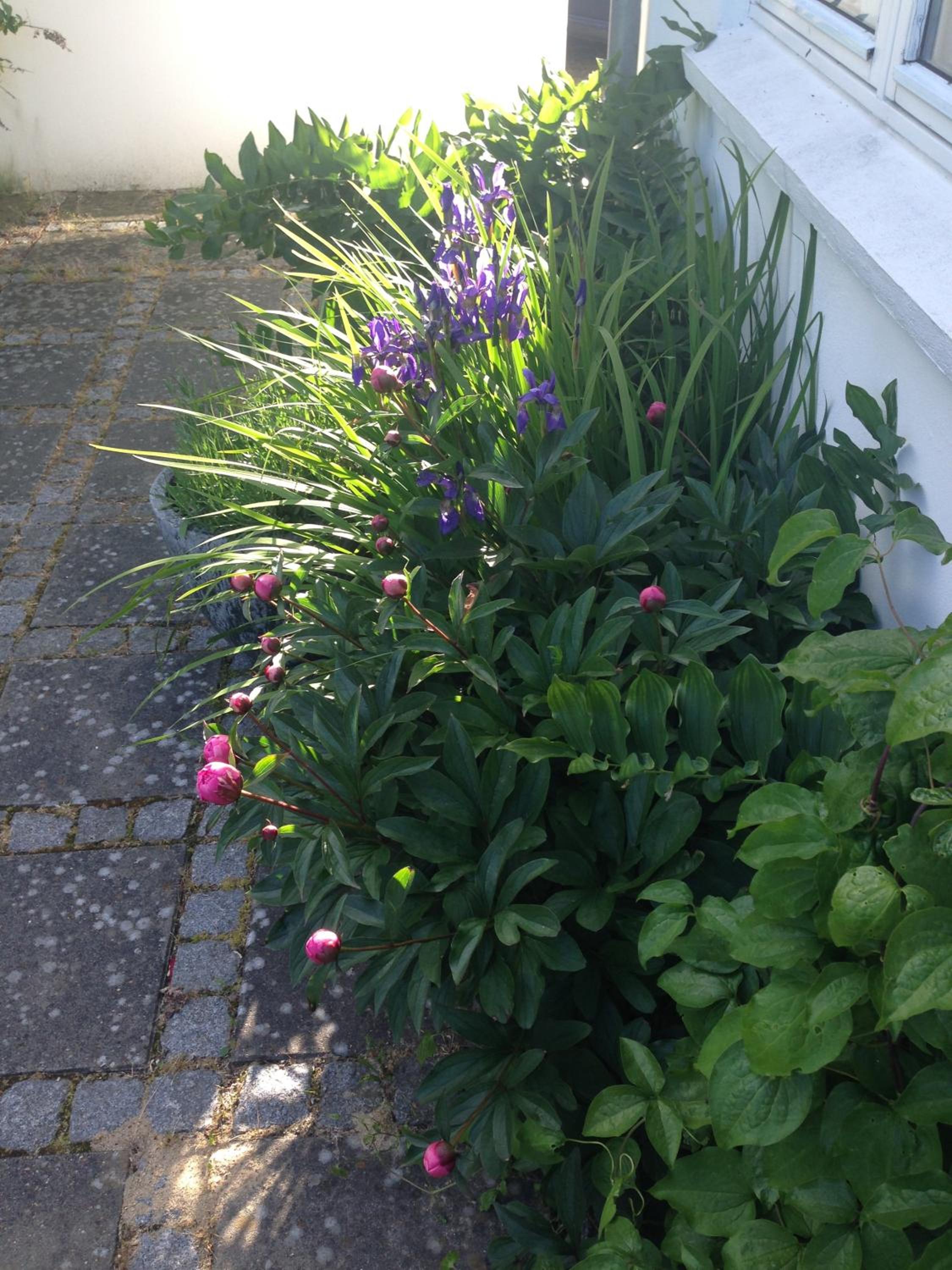 Helts B&B - Helts Guesthouse