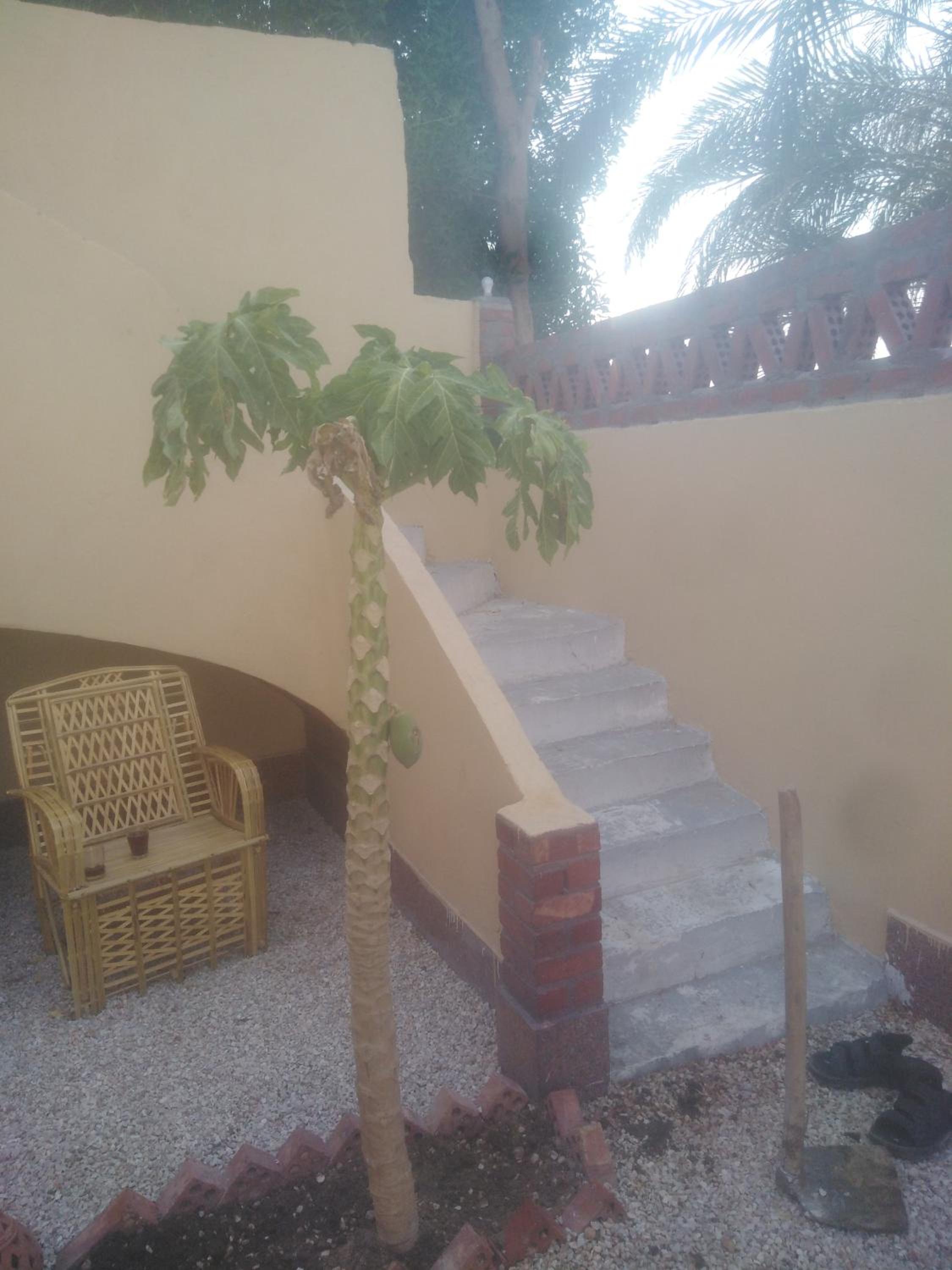 Villa Oasis