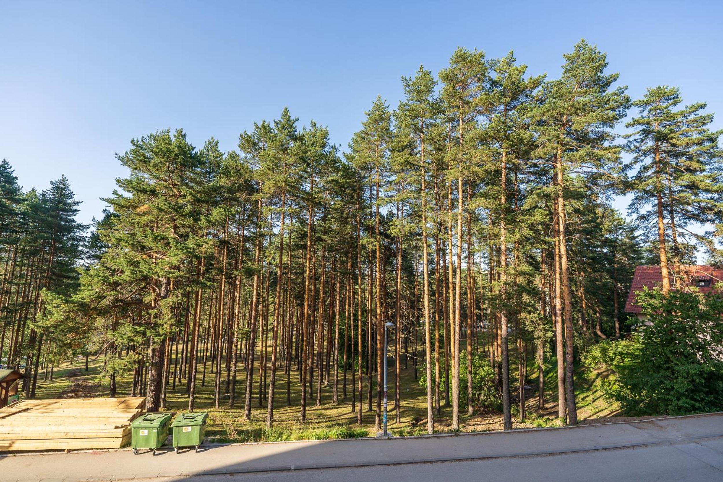 Apartman Maska