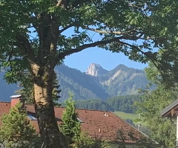 Ferienhaus Haas inkl. Chiemgaukarte